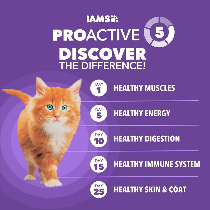 slide 4 of 12, IAMS Proactive Health with Chicken Kitten Premium Dry Cat Food - 3.5lbs, 3.5 lb