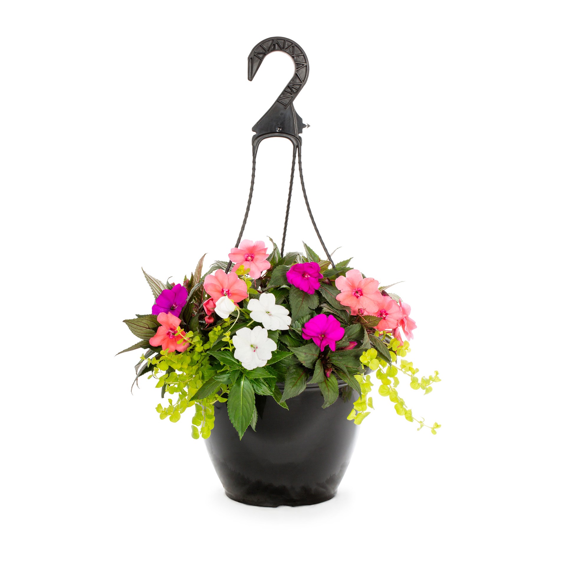 slide 1 of 2, Lowe's Sunpatiens Best Friend in 2 Gallon(s), 1 ct