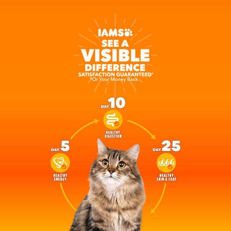 slide 4 of 10, IAMS Proactive Health Weight Control and Hairball Care with Chicken and Turkey Flavor Indoor Dry Cat Food - 3.5lbs, 3.5 lb