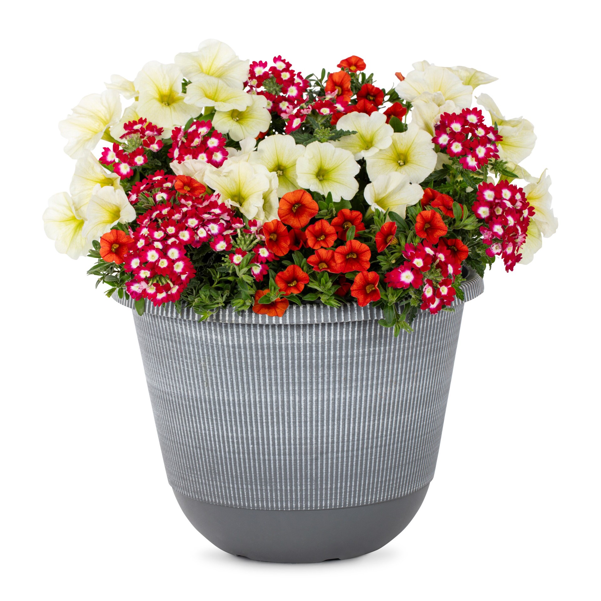 slide 3 of 4, Lowe's Multicolor Calibrachoa, Petunia, Verbena in 2.5 Gallon(s) Planter 1 -Pack, 1 ct