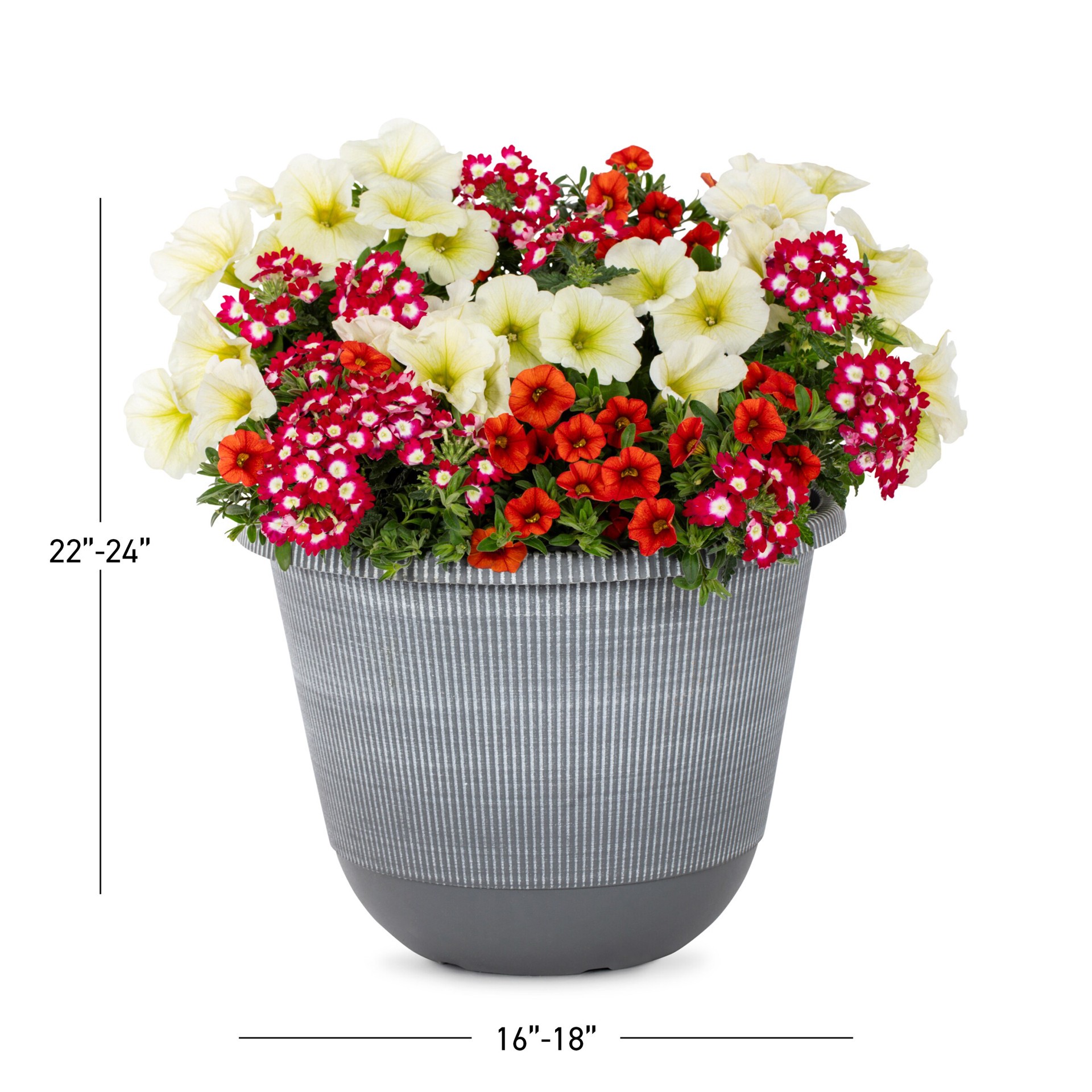 slide 4 of 4, Lowe's Multicolor Calibrachoa, Petunia, Verbena in 2.5 Gallon(s) Planter 1 -Pack, 1 ct