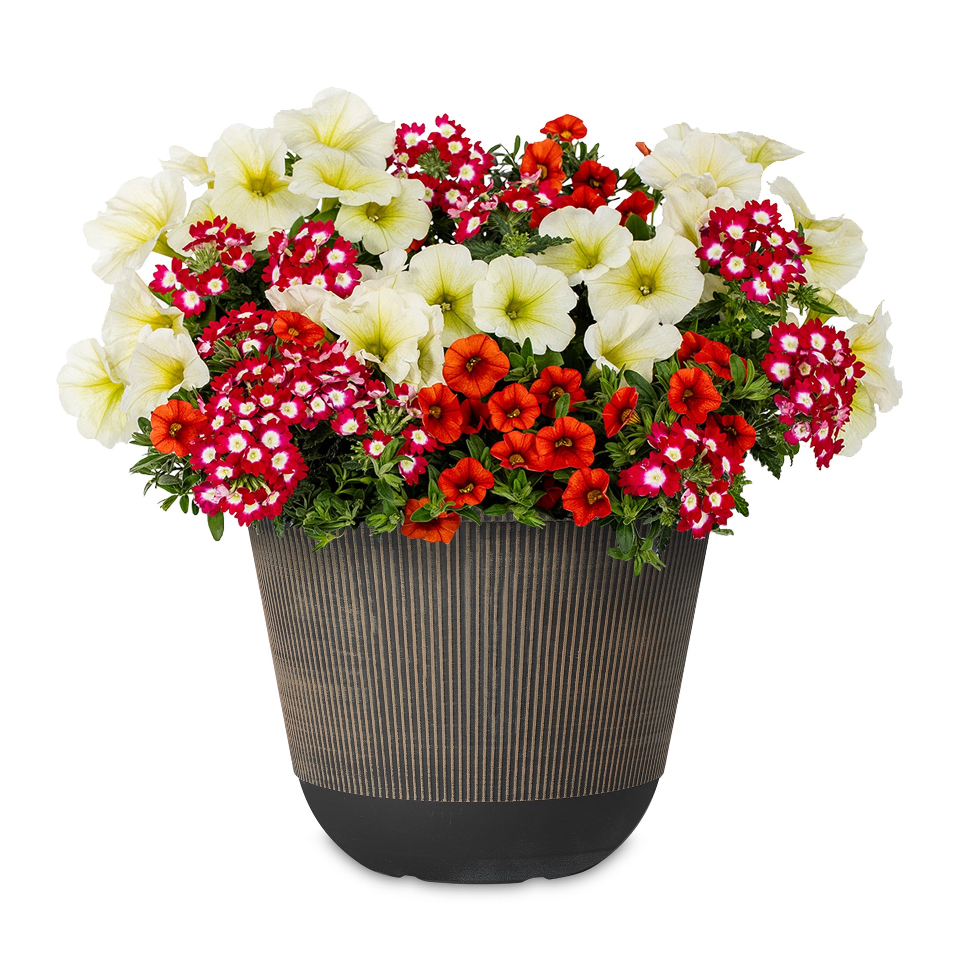 slide 1 of 4, Lowe's Multicolor Calibrachoa, Petunia, Verbena in 2.5 Gallon(s) Planter 1 -Pack, 1 ct