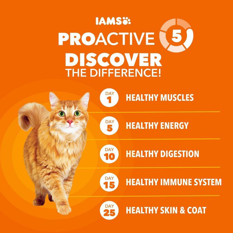 slide 4 of 12, IAMS Proactive Health Chicken Flavor Dry Cat Food - 16lbs, 16 lb