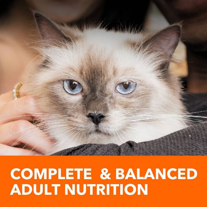 slide 6 of 10, IAMS Proactive Health with Chicken Adult Premium Dry Cat Food - 16lbs, 16 lb