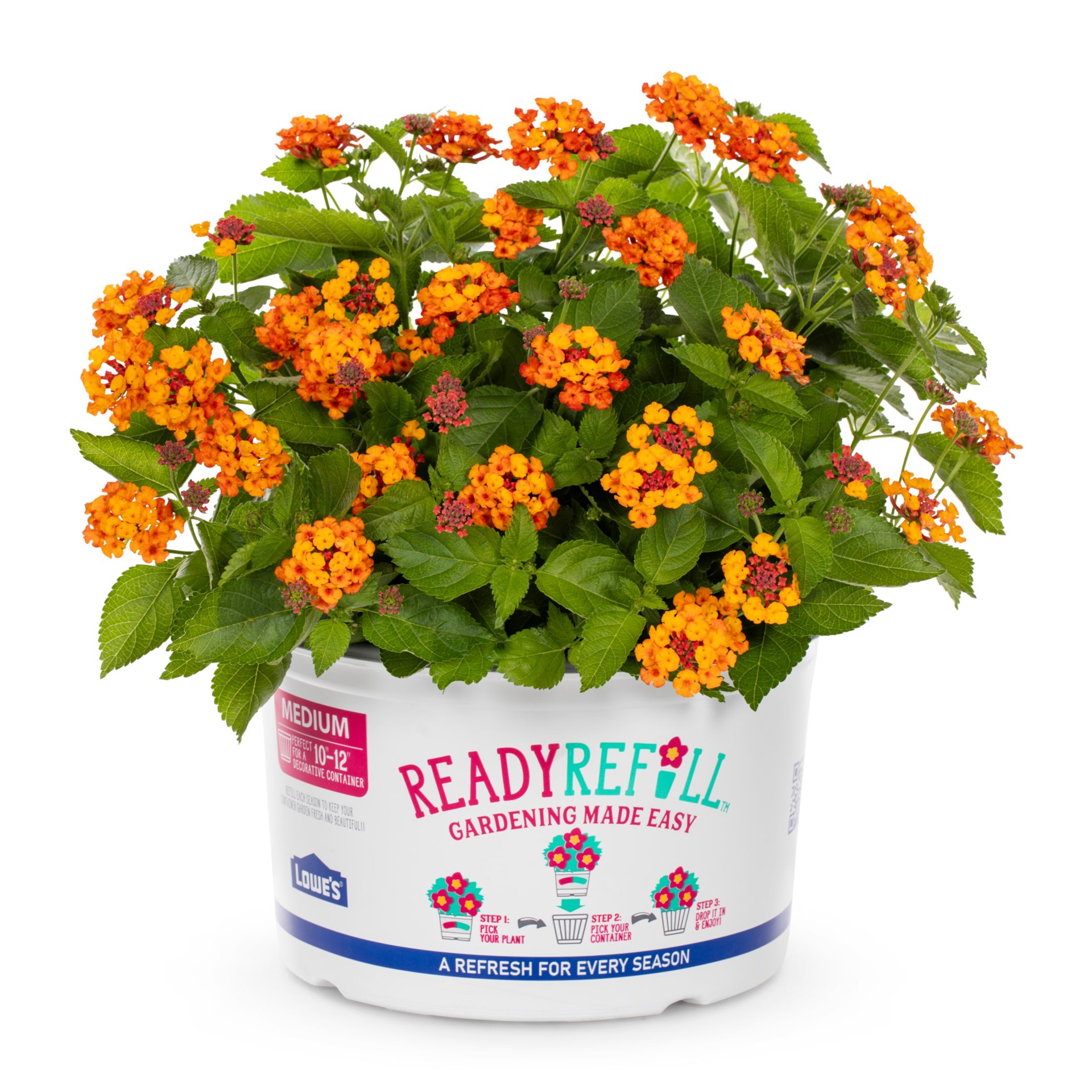 slide 2 of 6, Ready Refill Multicolor Lantana Mix in 1.5 Gallon(s) Pot 1 -Pack, 1 ct
