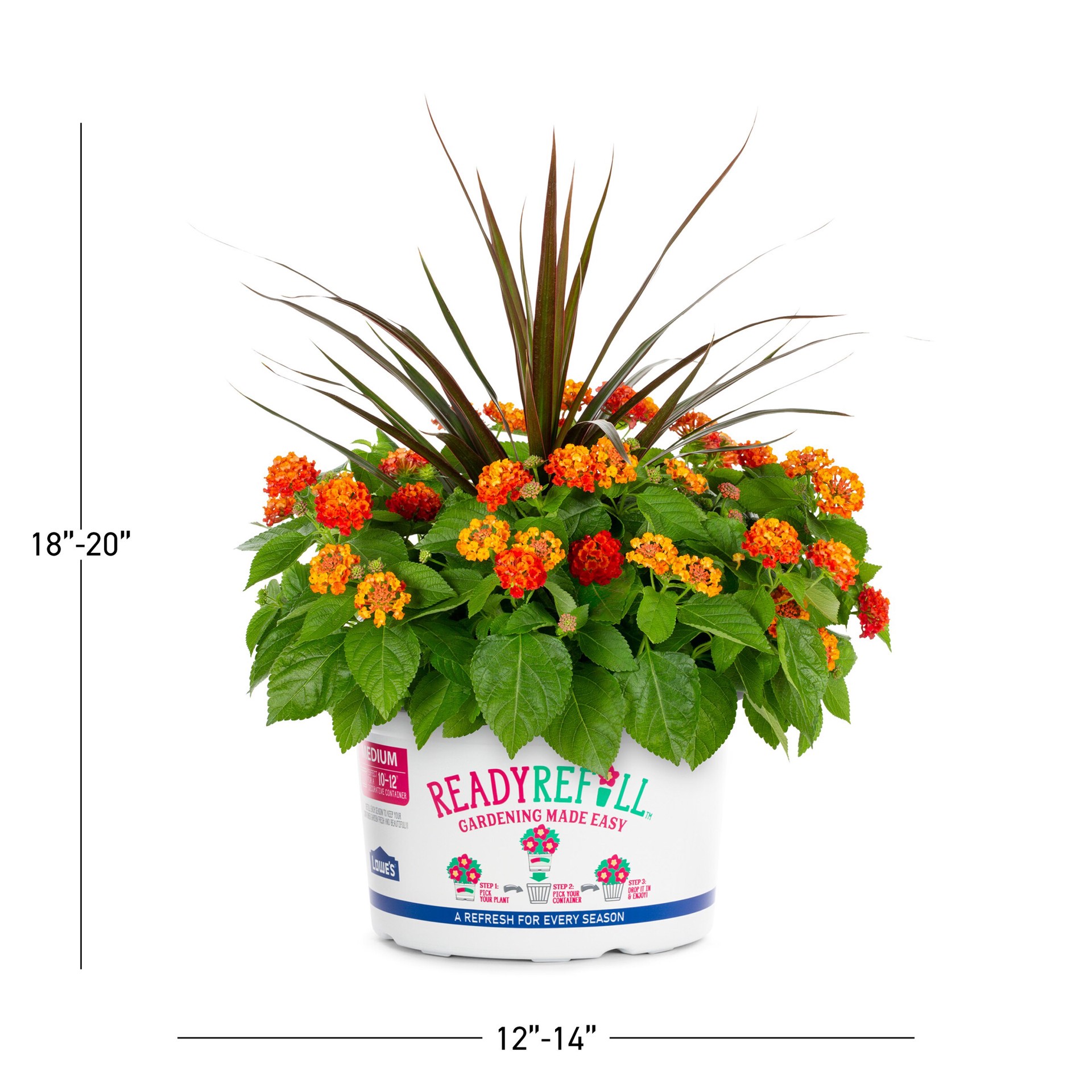 slide 5 of 6, Ready Refill Multicolor Lantana Mix in 1.5 Gallon(s) Pot 1 -Pack, 1 ct