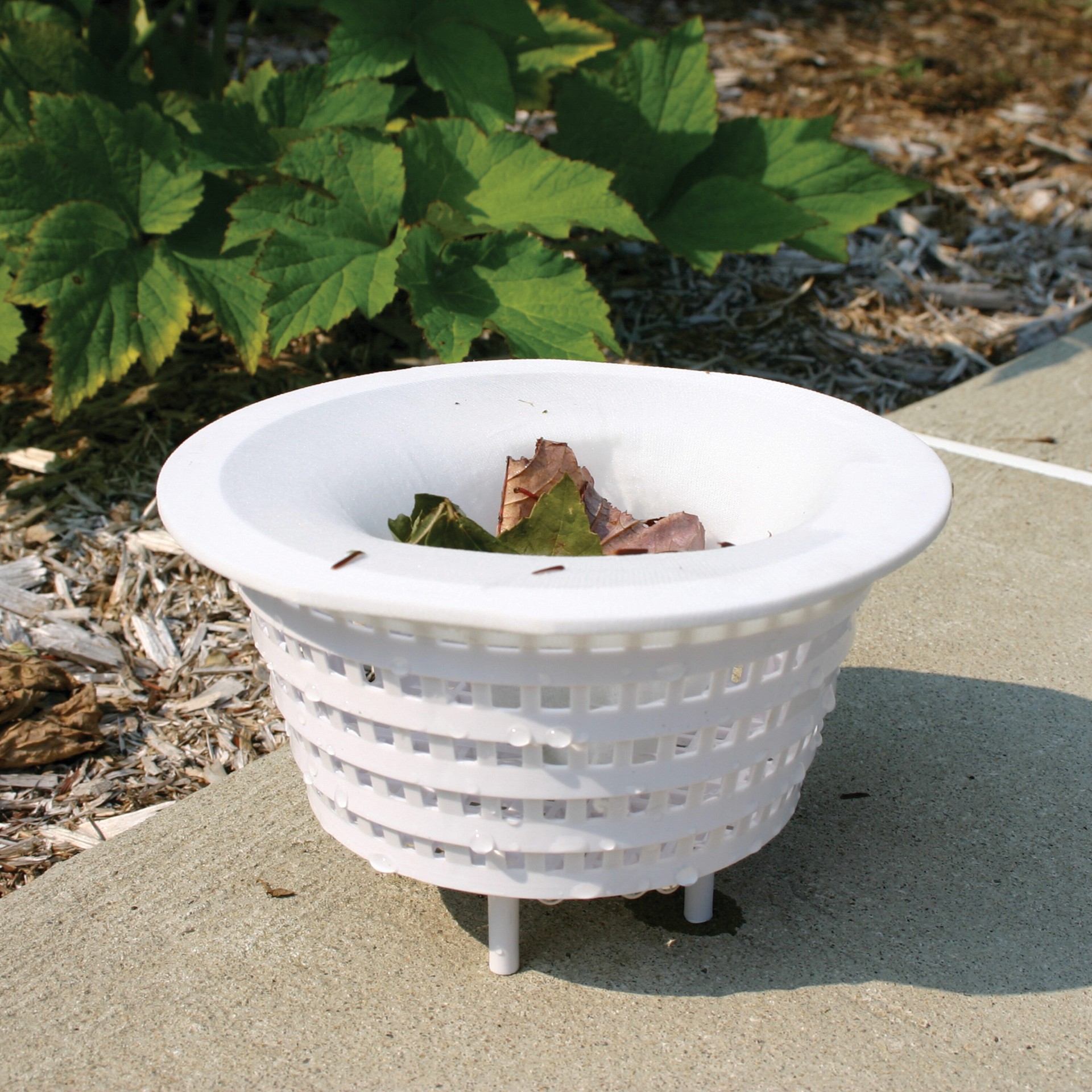 slide 3 of 4, ELODEA Parts and Care Skimmer Sock, 1 ct