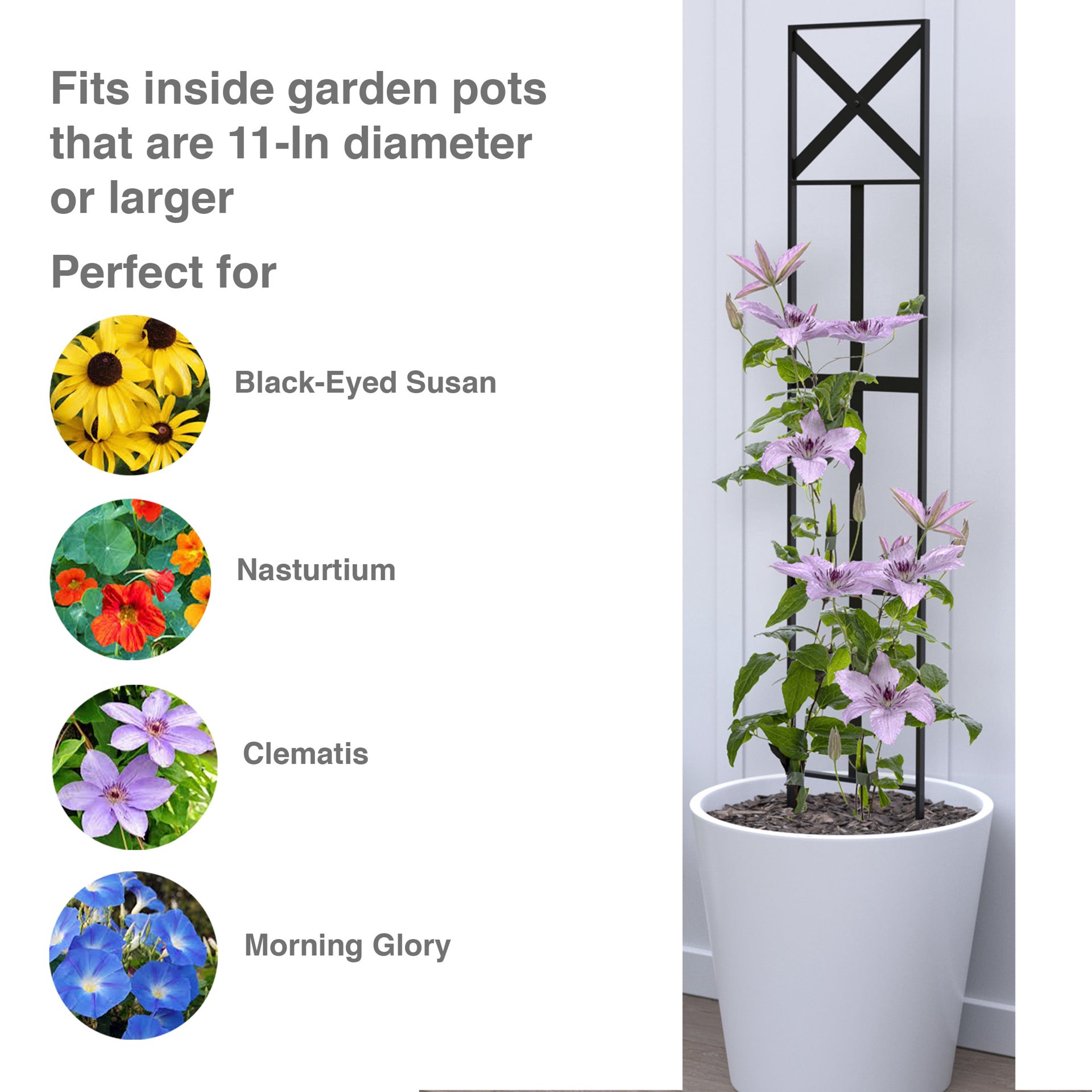slide 4 of 5, Style Selections 10-in W x 60-in H Black Iron Traditional Garden Trellis For Climbing Plants For Roses, 1 ct