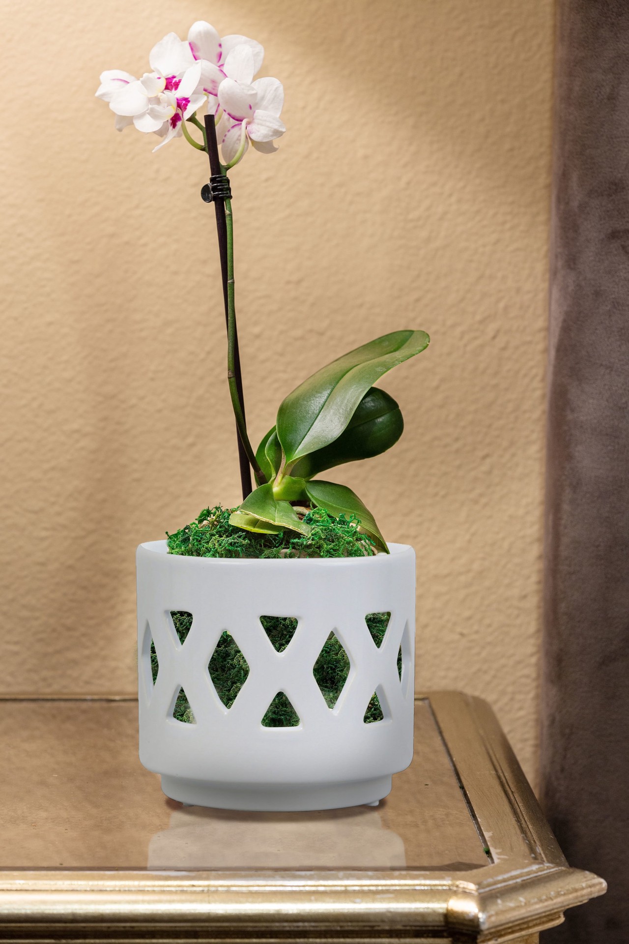 slide 4 of 6, allen + roth 6-in W x 5.39-in H White Ceramic Indoor Planter, 1 ct