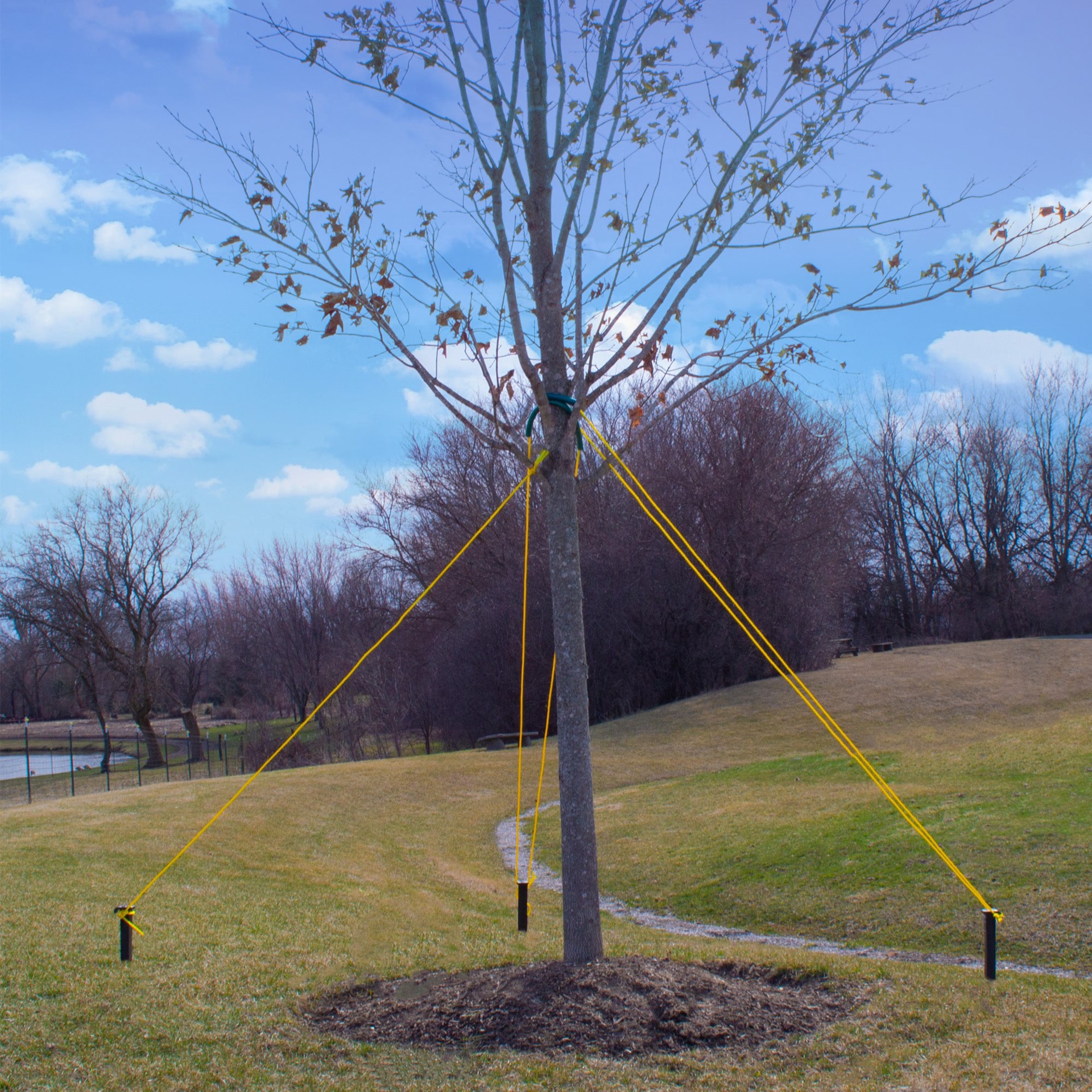 slide 2 of 4, Gardener's Blue Ribbon 15-in Plastic Tree Stake, 1 ct