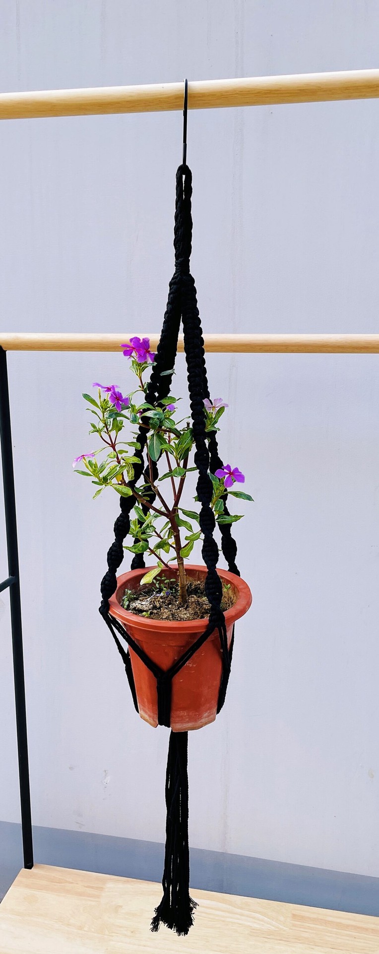 slide 2 of 4, allen + roth 43-in Black Traditional Plant hook(s), 1 ct