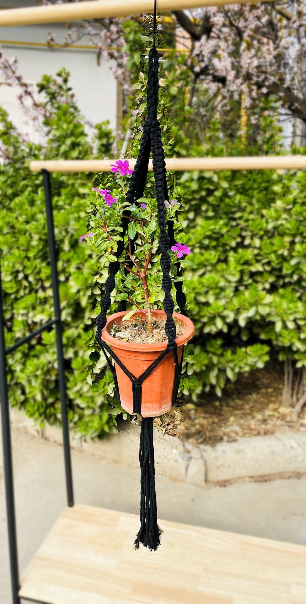 slide 4 of 4, allen + roth 43-in Black Traditional Plant hook(s), 1 ct