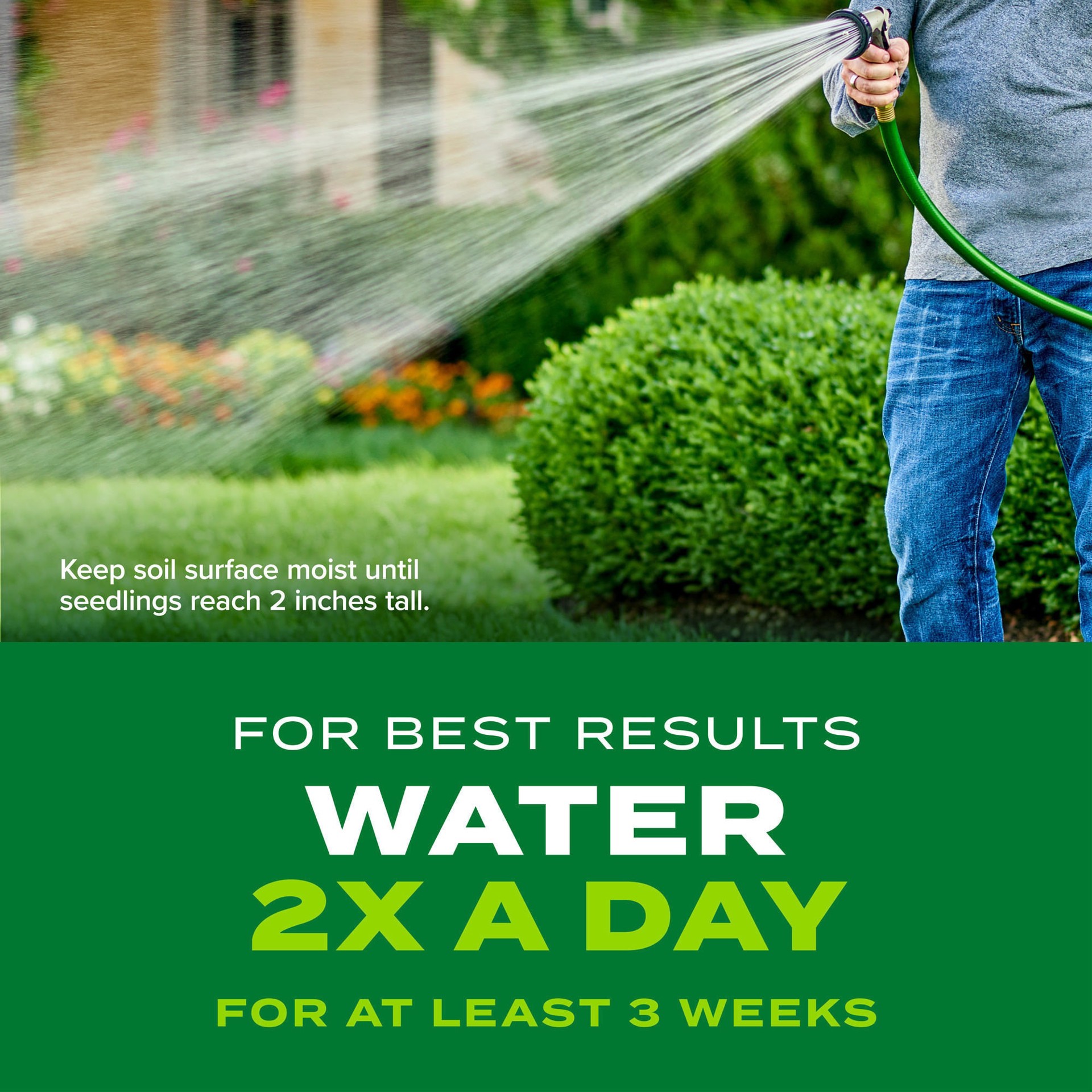 slide 4 of 6, Scotts Turf Builder Rapid Grass 4-lb Bermuda Grass Seed, 1 ct