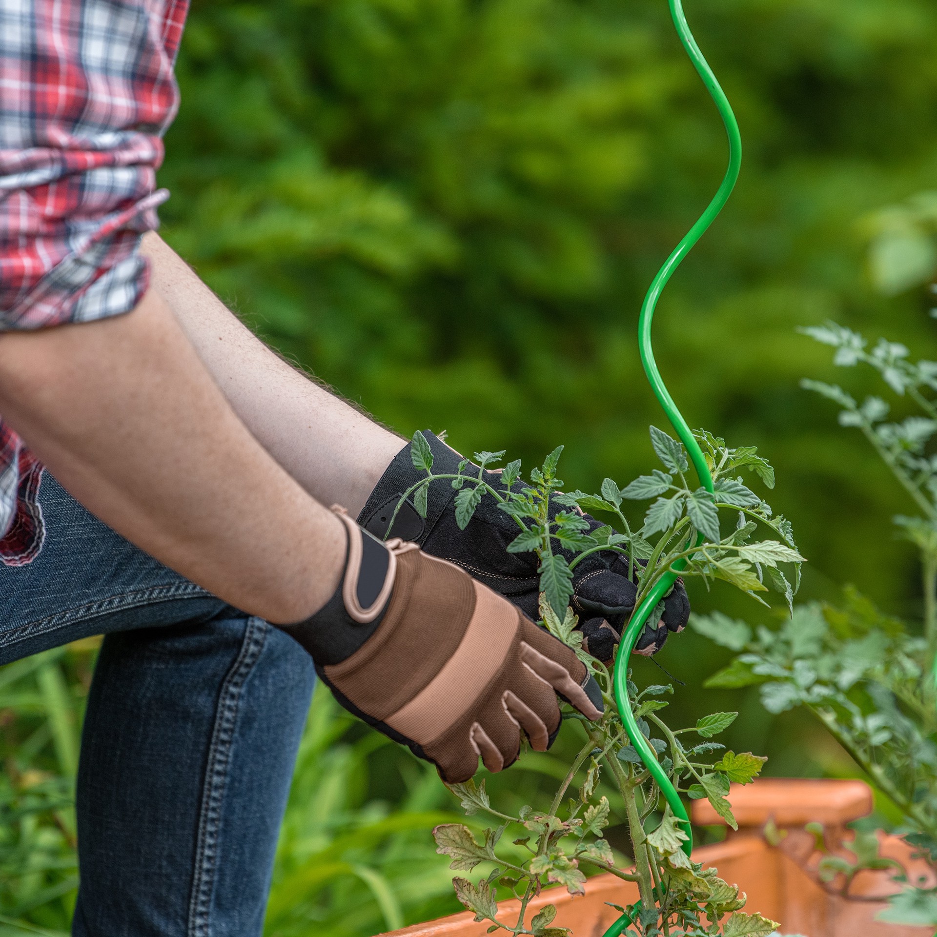 slide 2 of 6, 50-in Powder-coated galvanized steel wire Twist Tomato Cage, 1 ct