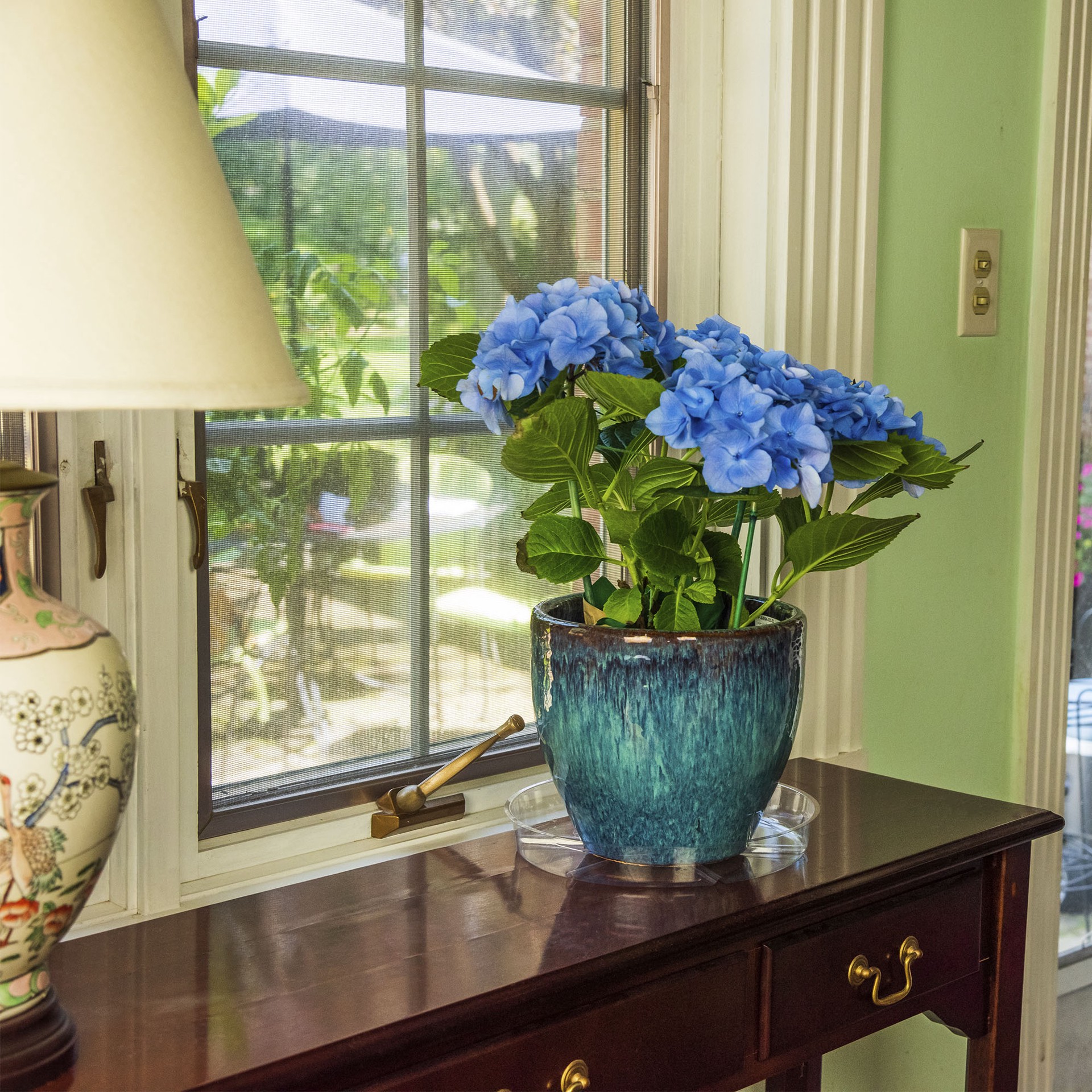 slide 2 of 3, Gardener's Blue Ribbon 10.0-in Clear Plastic Plant Saucer, 1 ct