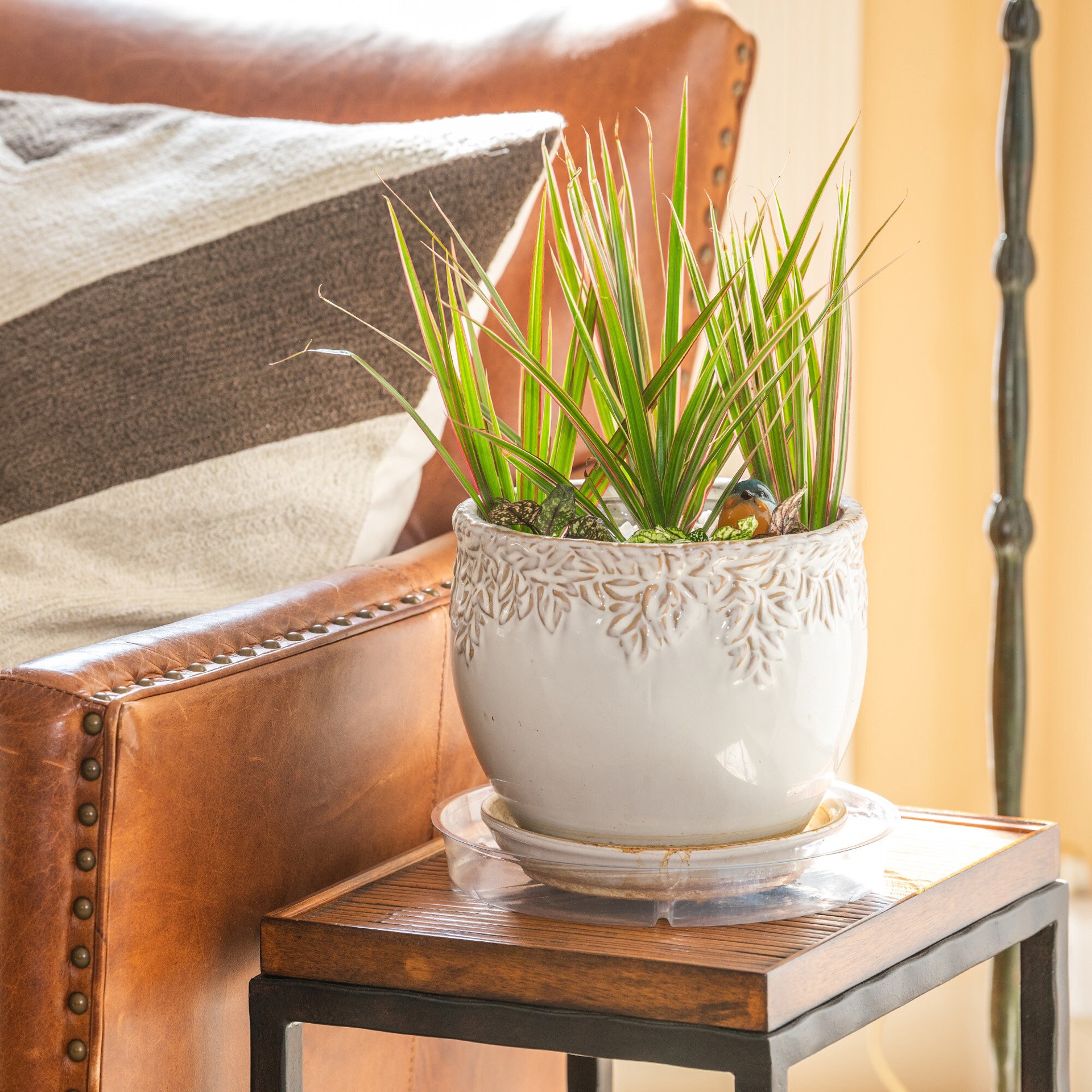 slide 3 of 3, Gardener's Blue Ribbon 10.0-in Clear Plastic Plant Saucer, 1 ct