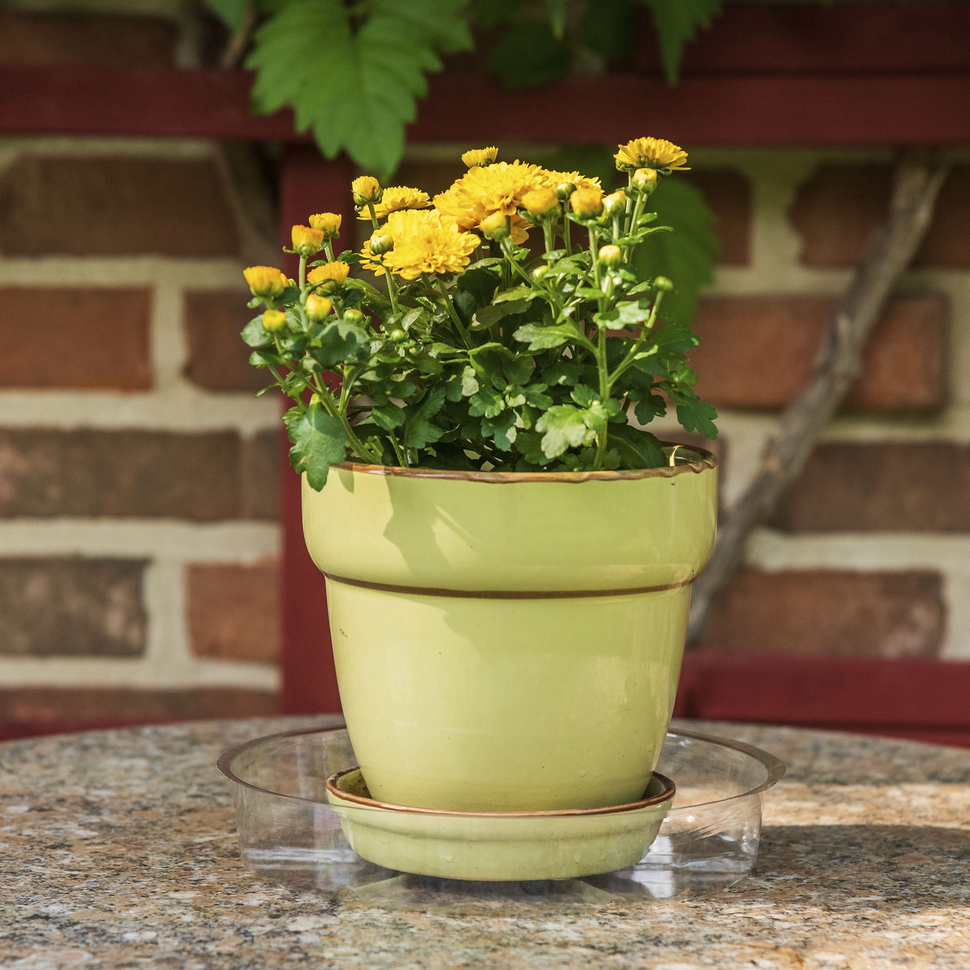 slide 3 of 3, Gardener's Blue Ribbon 6.0-in Clear Plastic Plant Saucer, 1 ct