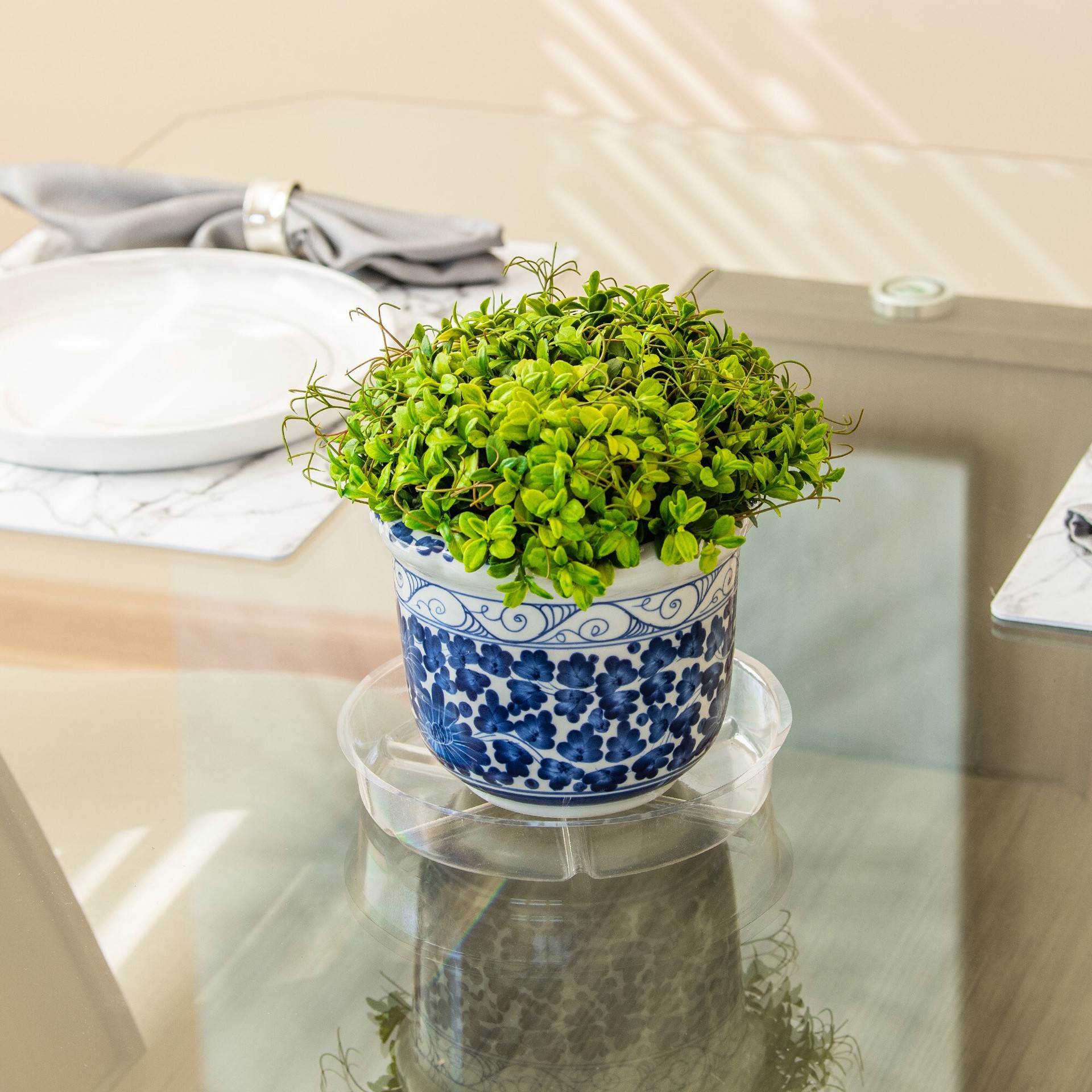 slide 2 of 3, Gardener's Blue Ribbon 8.0-in Clear Plastic Plant Saucer, 1 ct