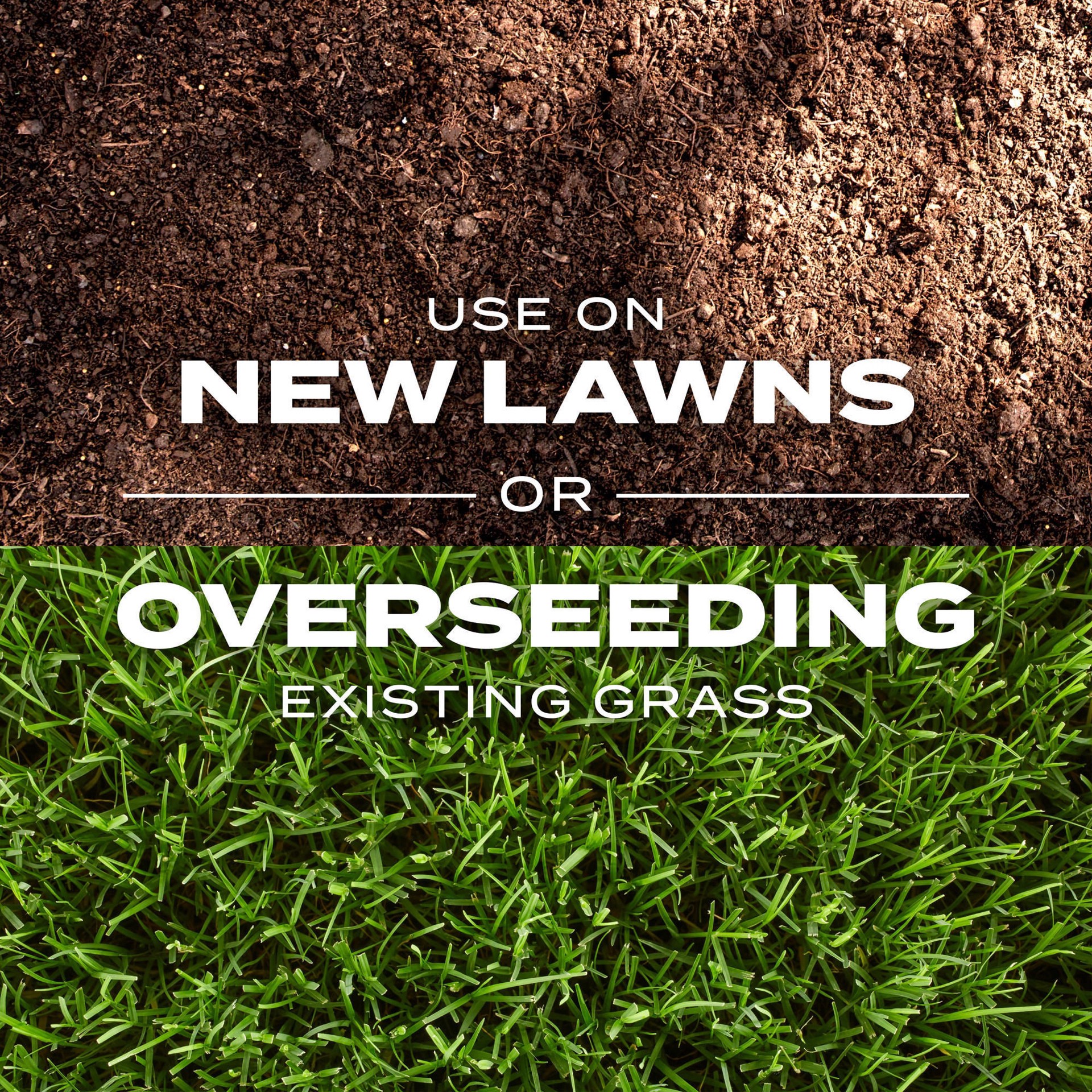 slide 5 of 6, Scotts Turf Builder Rapid Grass 8-lb Bermuda Grass Seed, 1 ct