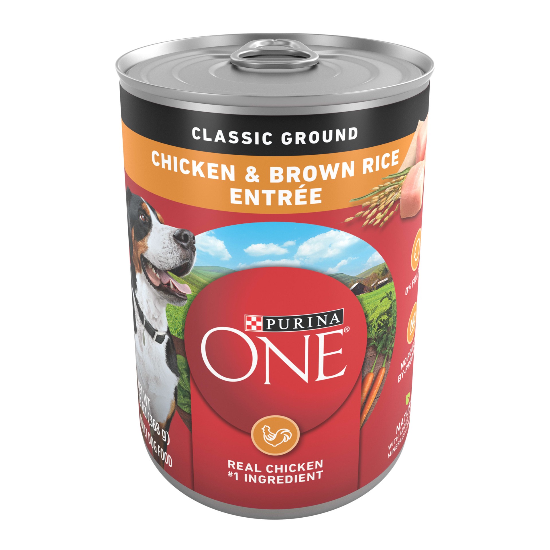 slide 1 of 6, Purina ONE Adult Chicken and Rice Dog Food 11.73-lb, 1 ct