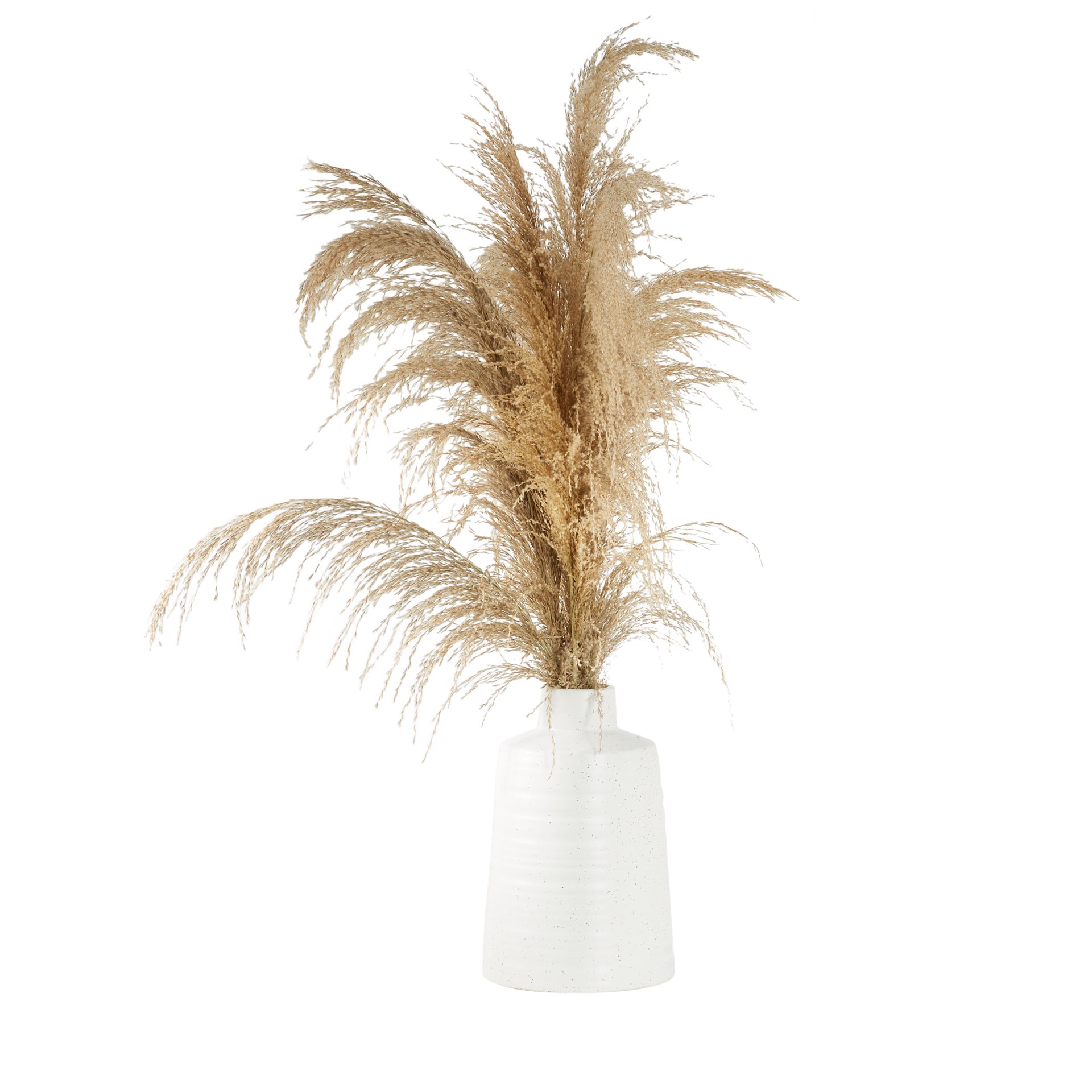 slide 6 of 6, Origin 21 40-in Matte White/Natural Indoor Desktop Pampas Grass Artificial flower, 1 ct