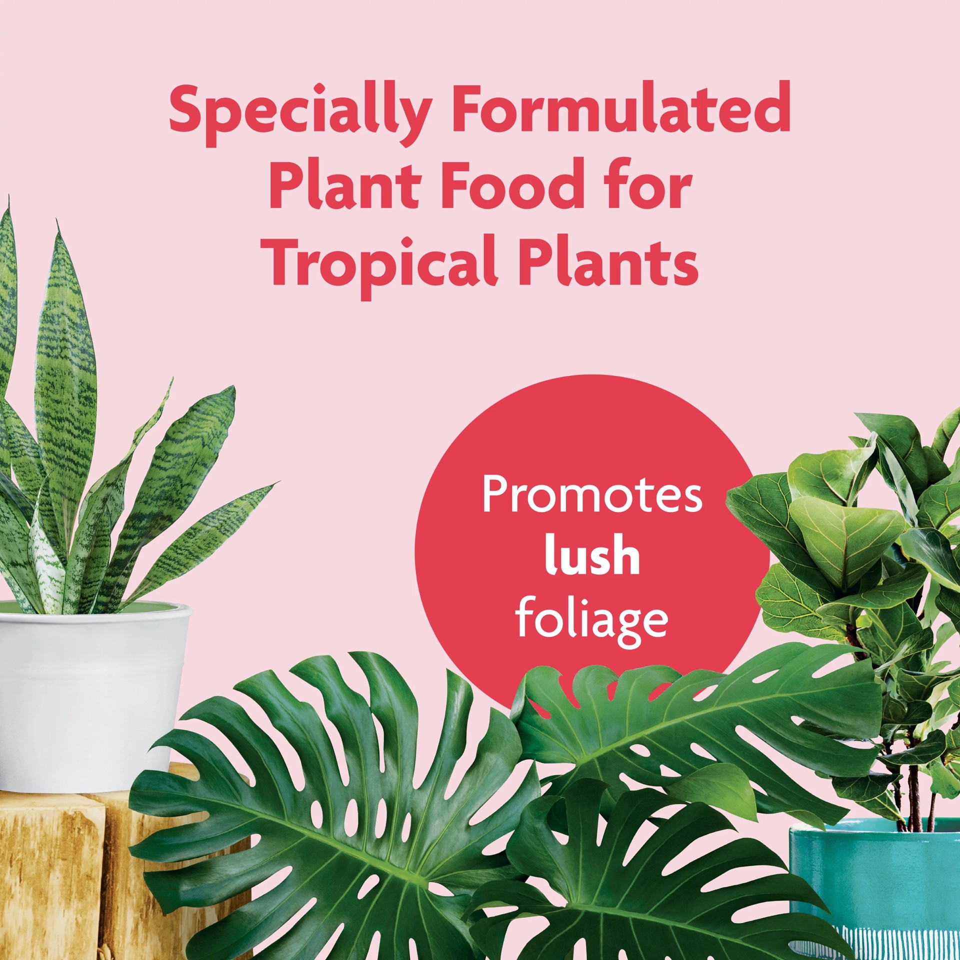 slide 3 of 6, Miracle-Gro Tropical Houseplant 8-fl oz 1-0.5-1 Liquid Indoor Plant Food, 1 ct