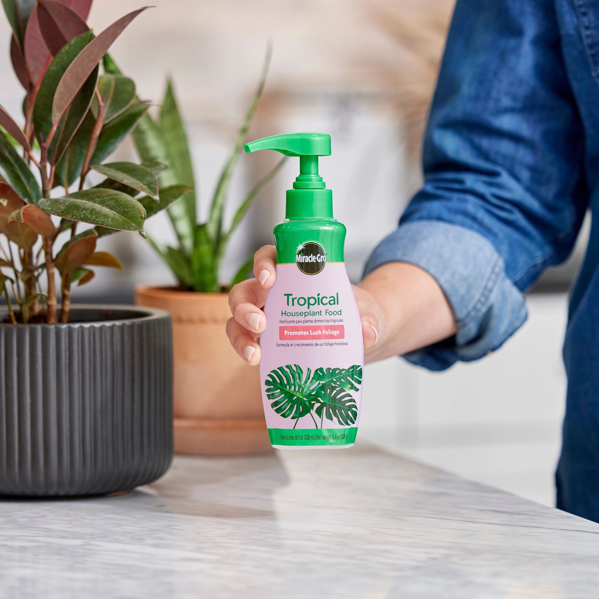 slide 4 of 6, Miracle-Gro Tropical Houseplant 8-fl oz 1-0.5-1 Liquid Indoor Plant Food, 1 ct