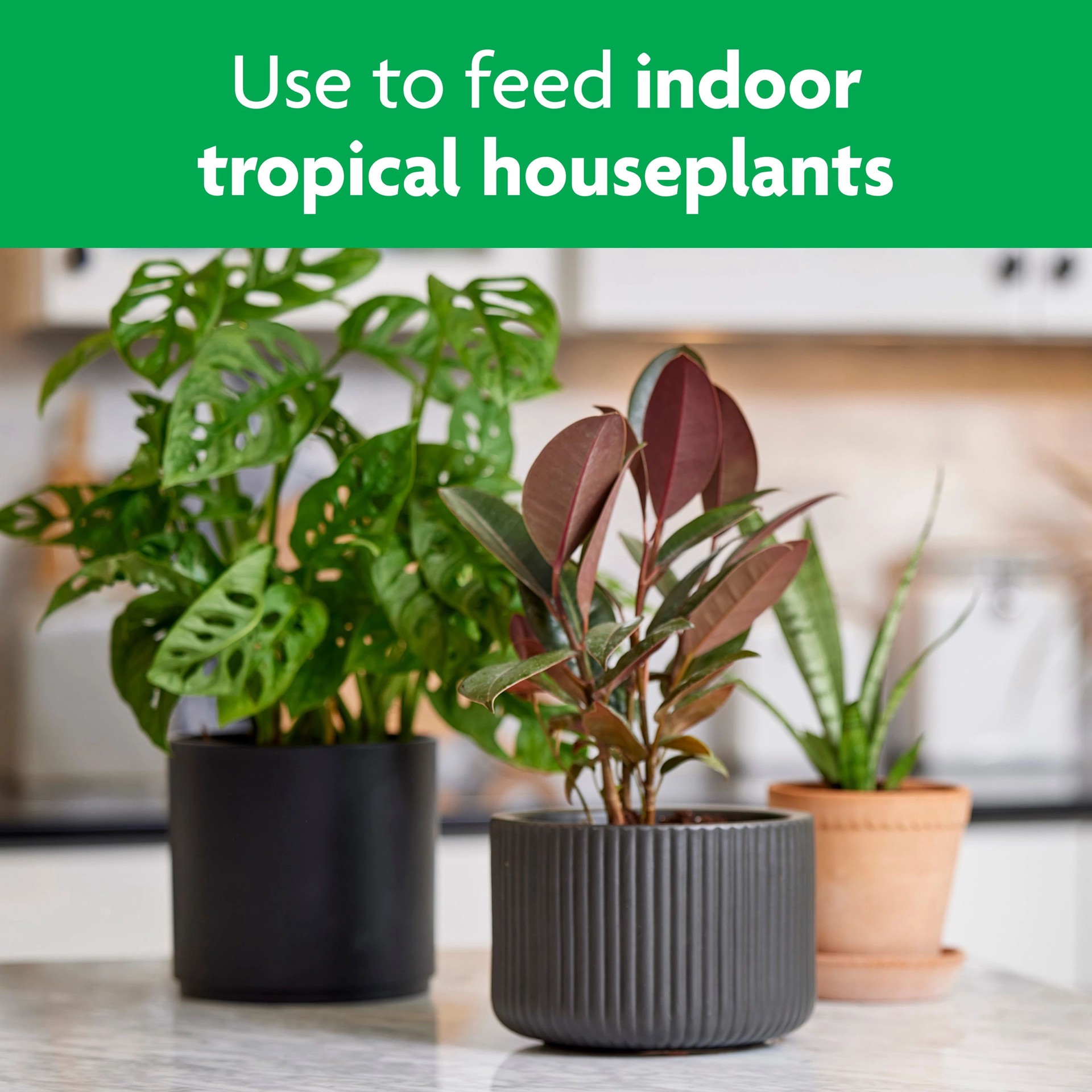 slide 5 of 6, Miracle-Gro Tropical Houseplant 8-fl oz 1-0.5-1 Liquid Indoor Plant Food, 1 ct