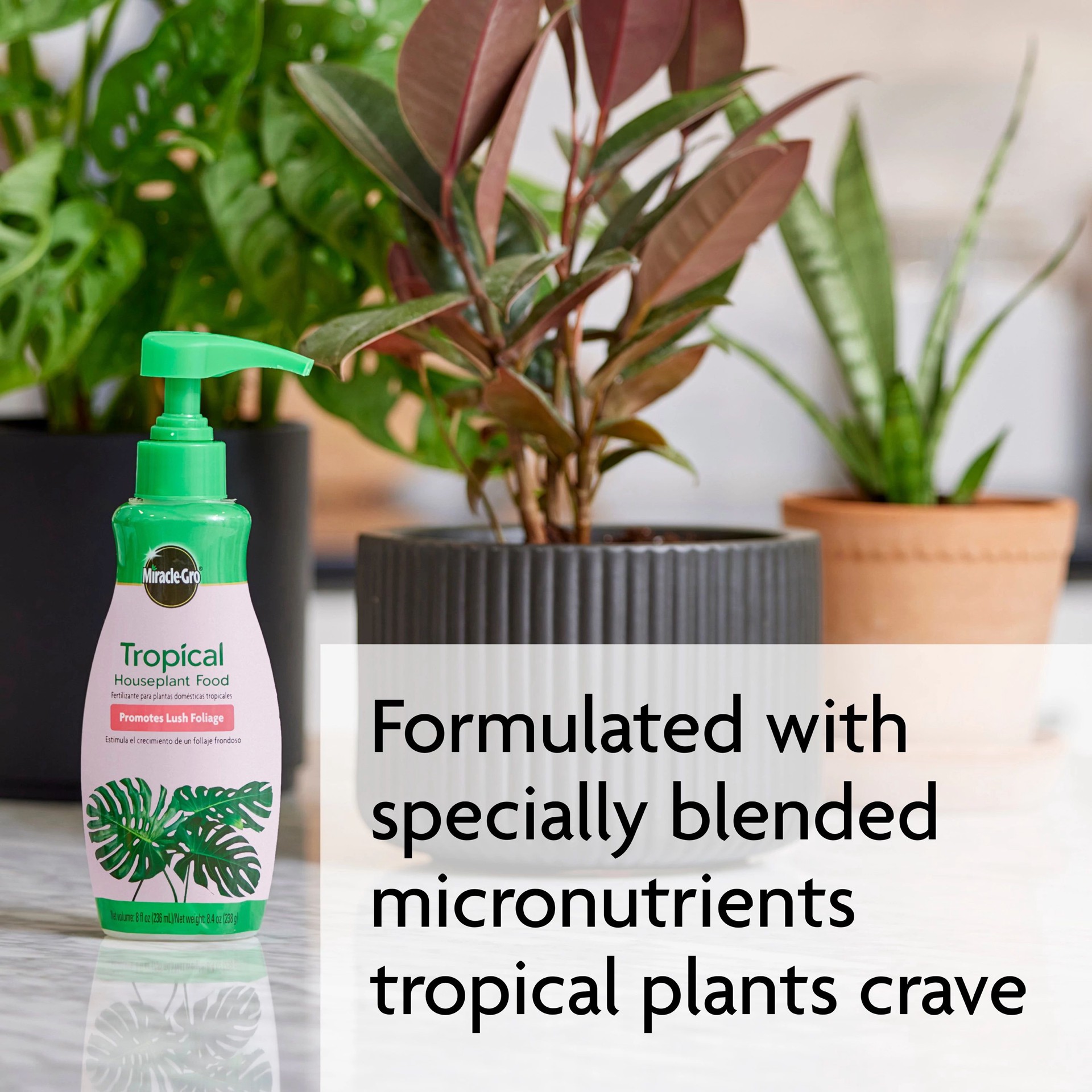 slide 6 of 6, Miracle-Gro Tropical Houseplant 8-fl oz 1-0.5-1 Liquid Indoor Plant Food, 1 ct