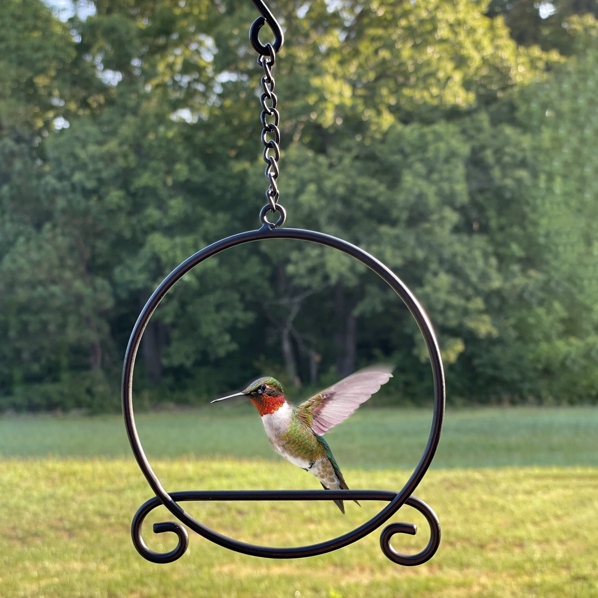 slide 2 of 3, Backyard Glory 1 -Count Black Hummingbird swing, 1 ct