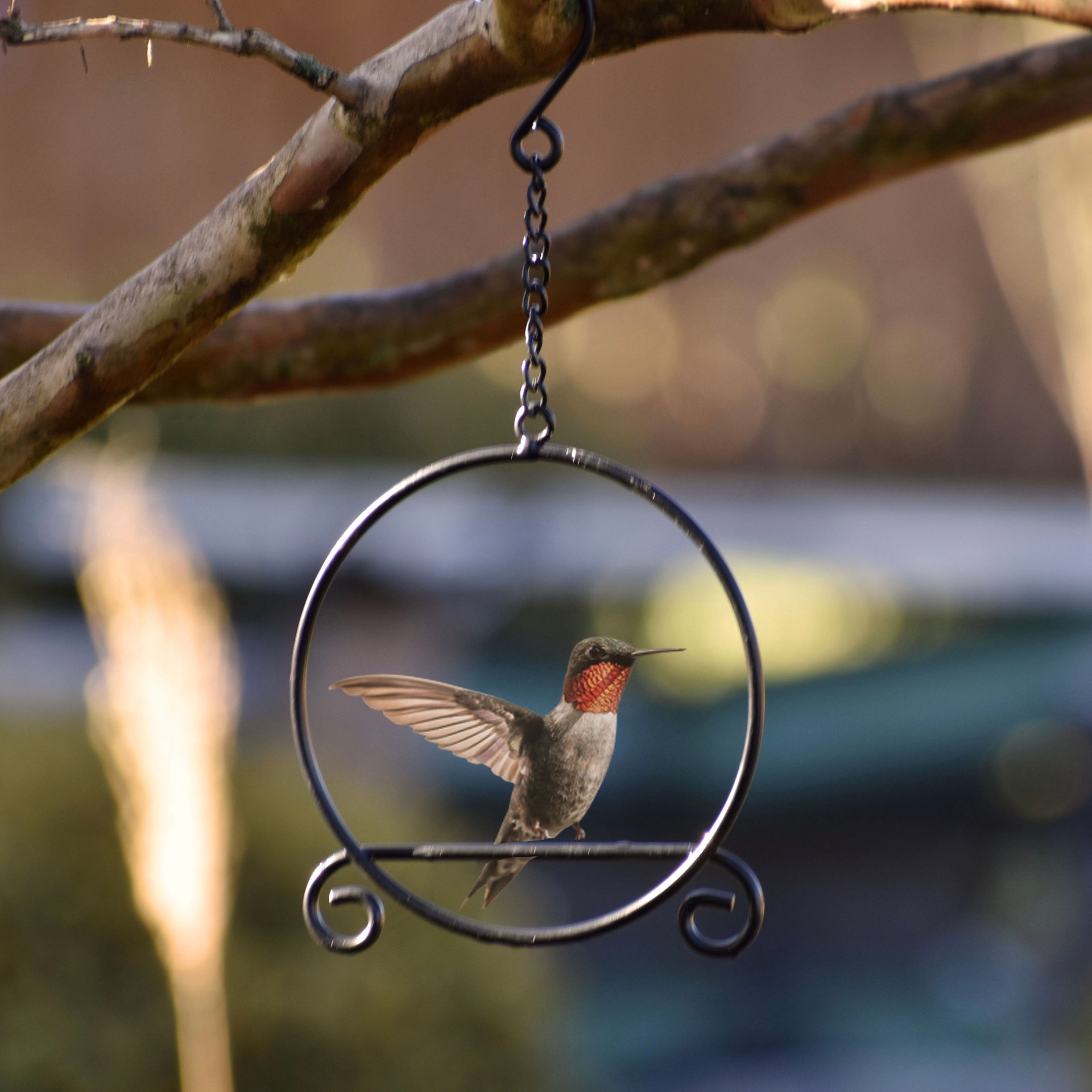 slide 3 of 3, Backyard Glory 1 -Count Black Hummingbird swing, 1 ct
