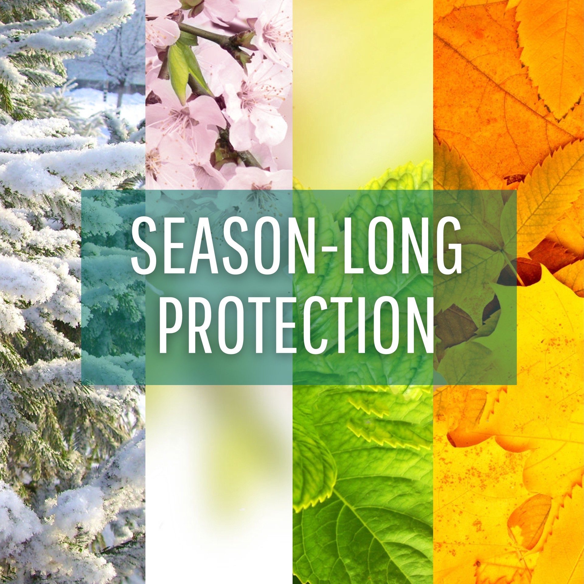 slide 4 of 6, Safer Brand Deer Off Deer Repellent, 1 ct