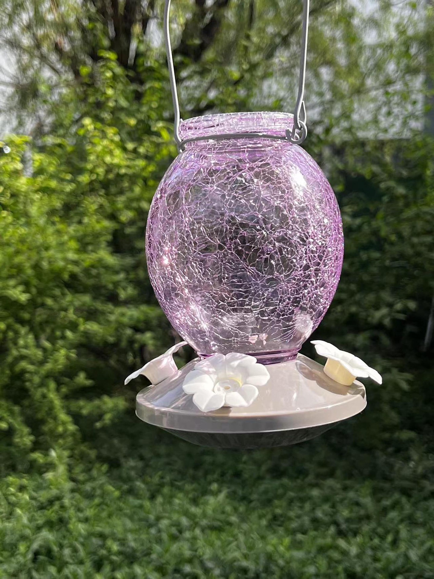 slide 2 of 6, Style Selections Glass Hanging Nectar Bird feeder - 22-oz, 1 ct