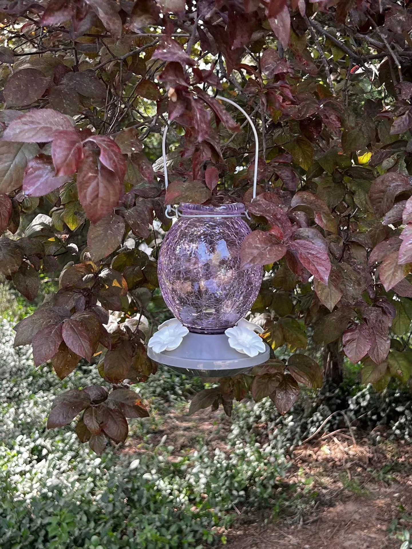 slide 3 of 6, Style Selections Glass Hanging Nectar Bird feeder - 22-oz, 1 ct
