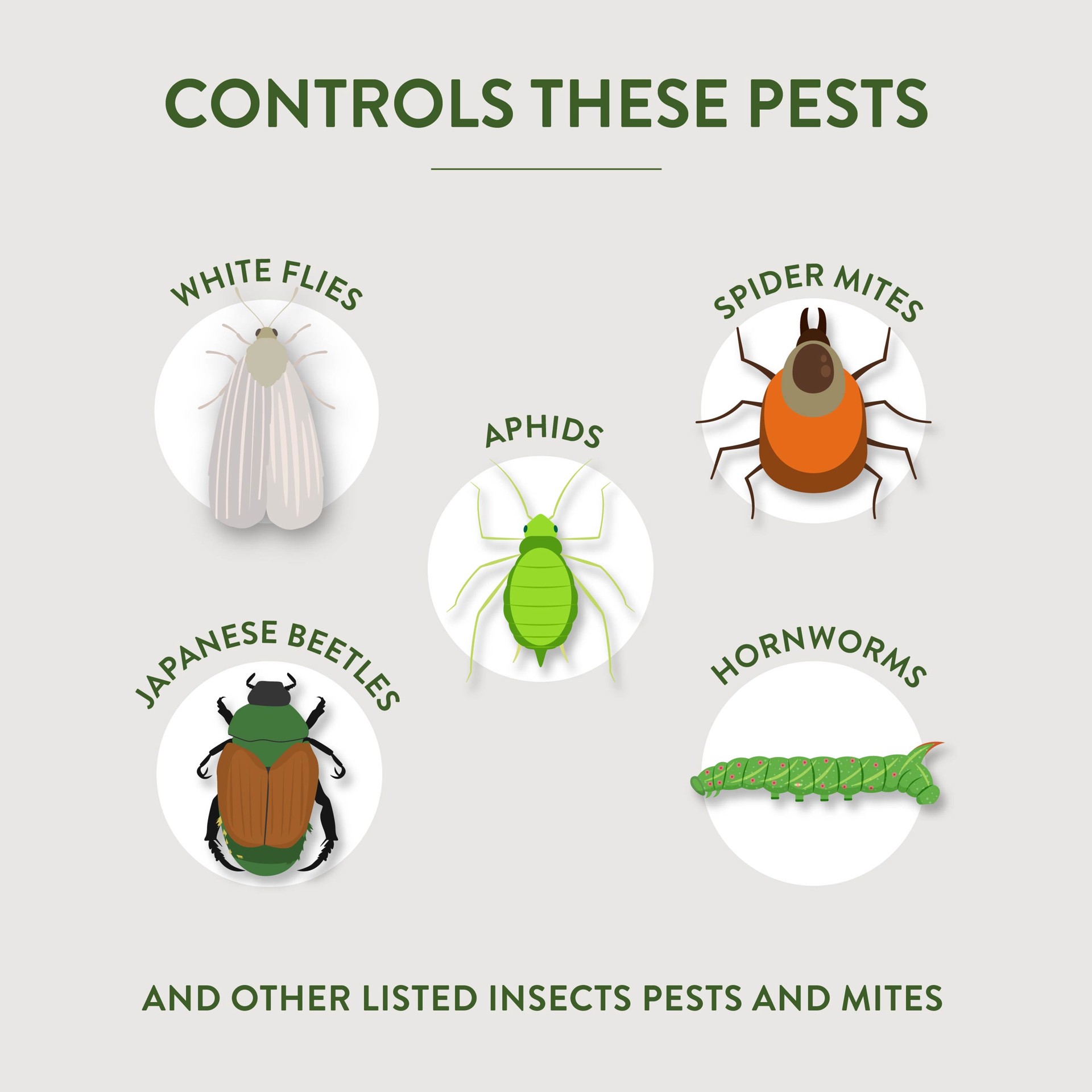slide 2 of 6, Garden Safe Fungicide3 - Fungicide, Insecticide, Miticide 32 -fl oz Trigger spray Insect disease and mite control, 1 ct