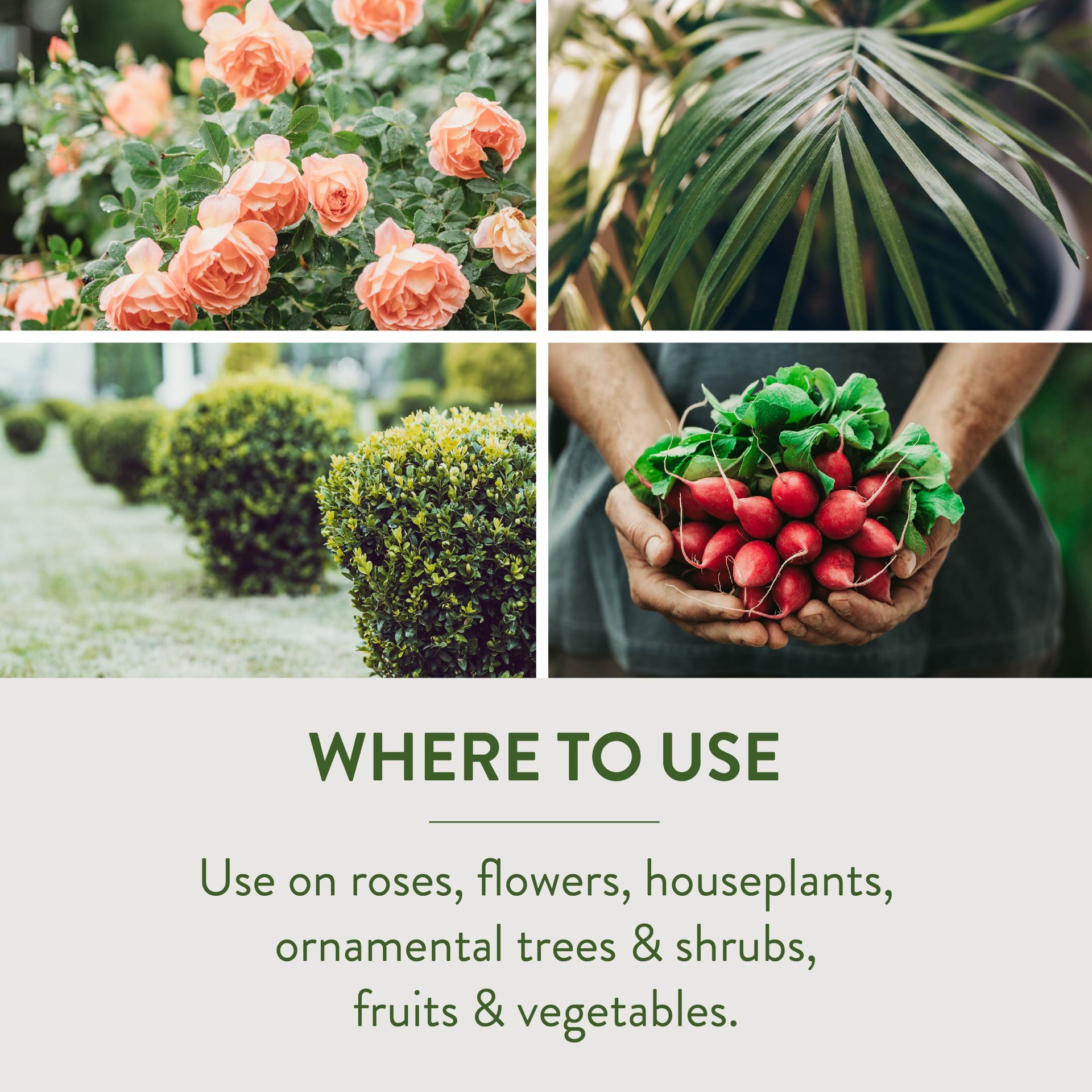 slide 6 of 6, Garden Safe Fungicide3 - Fungicide, Insecticide, Miticide 32 -fl oz Trigger spray Insect disease and mite control, 1 ct