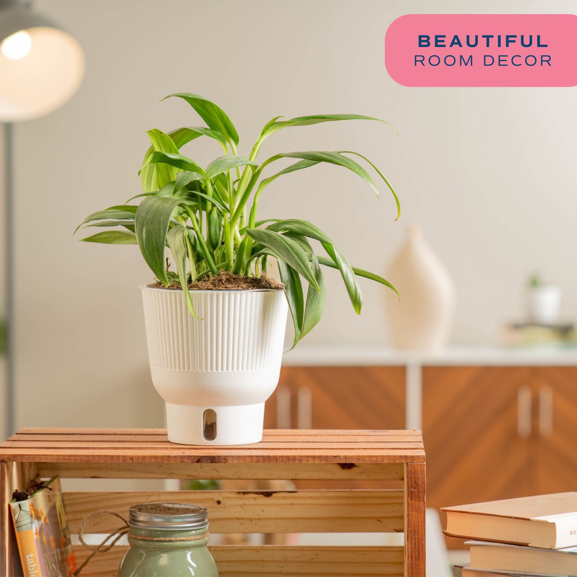 slide 5 of 6, Costa Farms Pothos Baltic Blue House plant in 1.4 Quart(s) Self-watering pot 1 -Pack, 1 ct