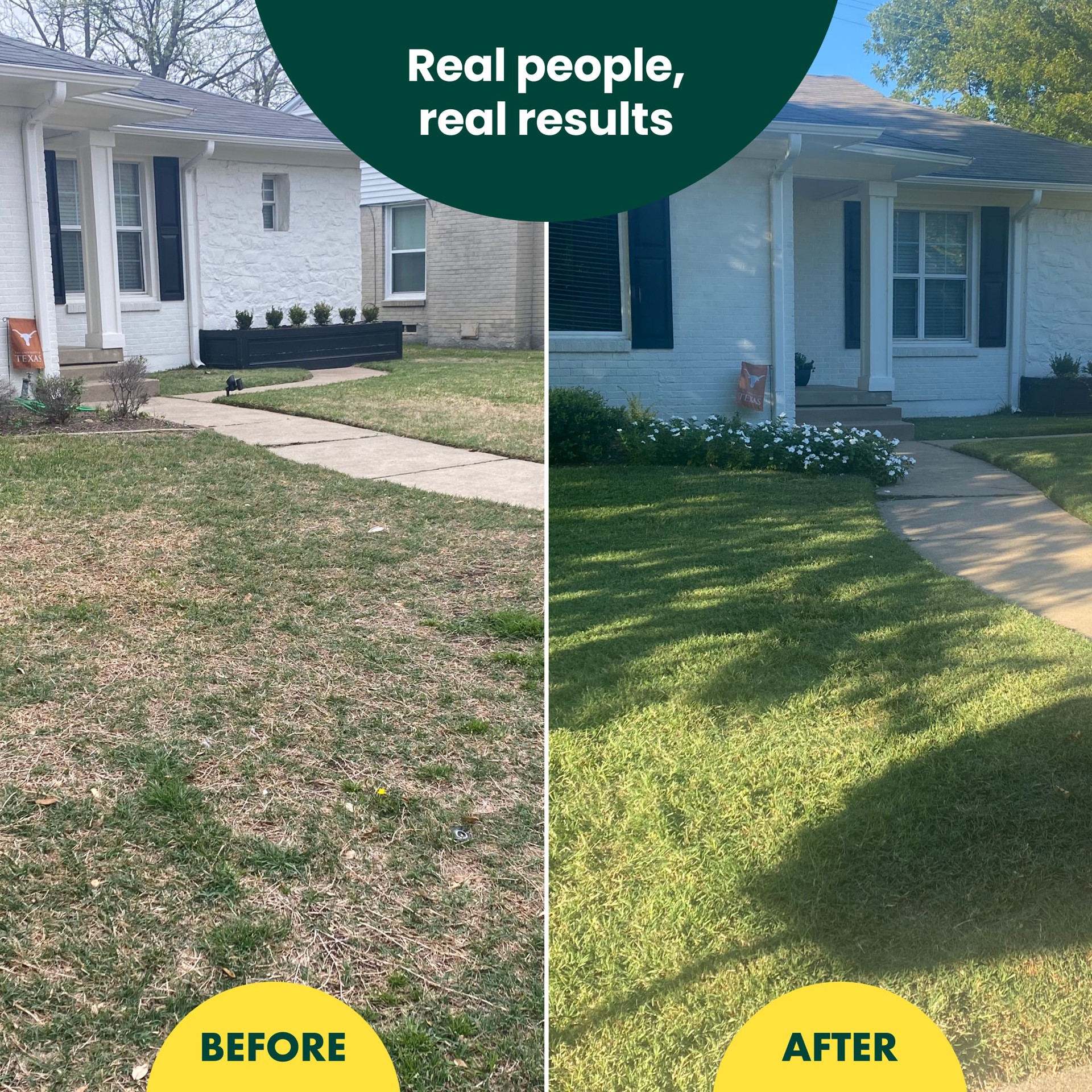 slide 4 of 6, Sunday Pet Lawn Premium Pet-Safe Grass Seed 5-lb Natural Mixture/Blend Grass Seed, 1 ct