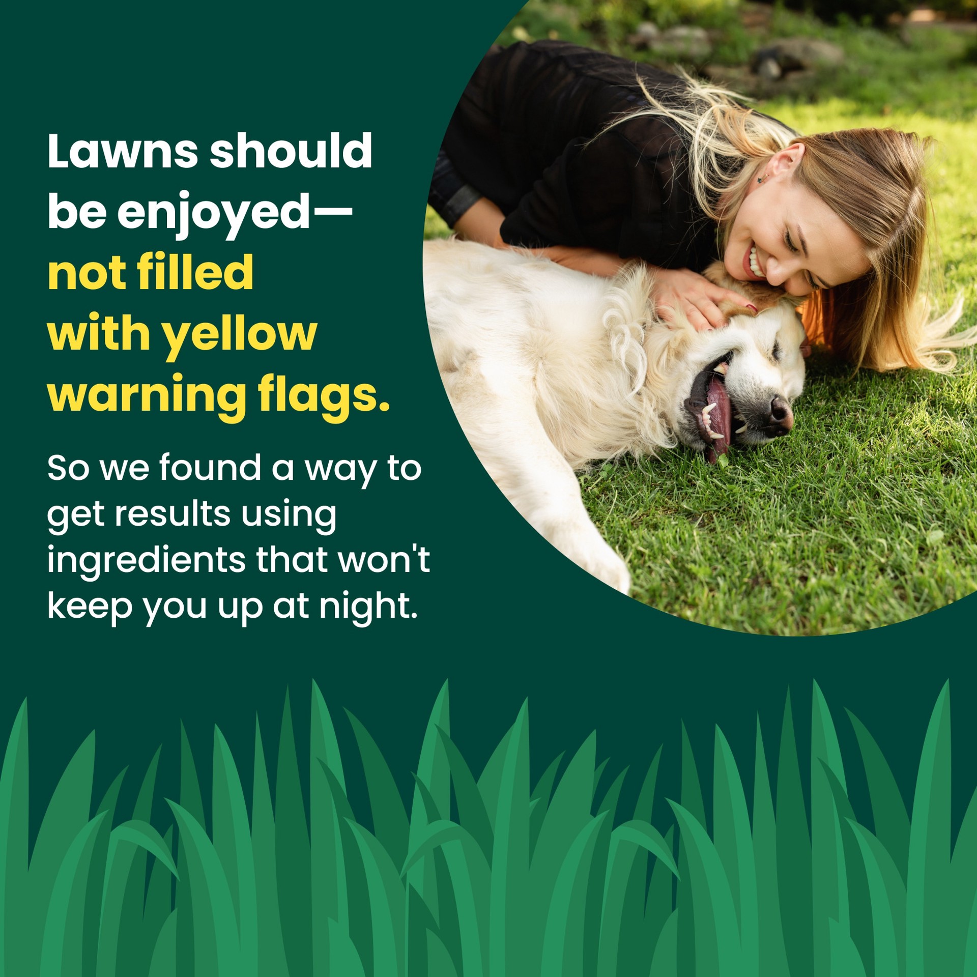 slide 3 of 6, Sunday Pet Lawn Premium Pet-Safe Grass Seed 5-lb Natural Mixture/Blend Grass Seed, 1 ct