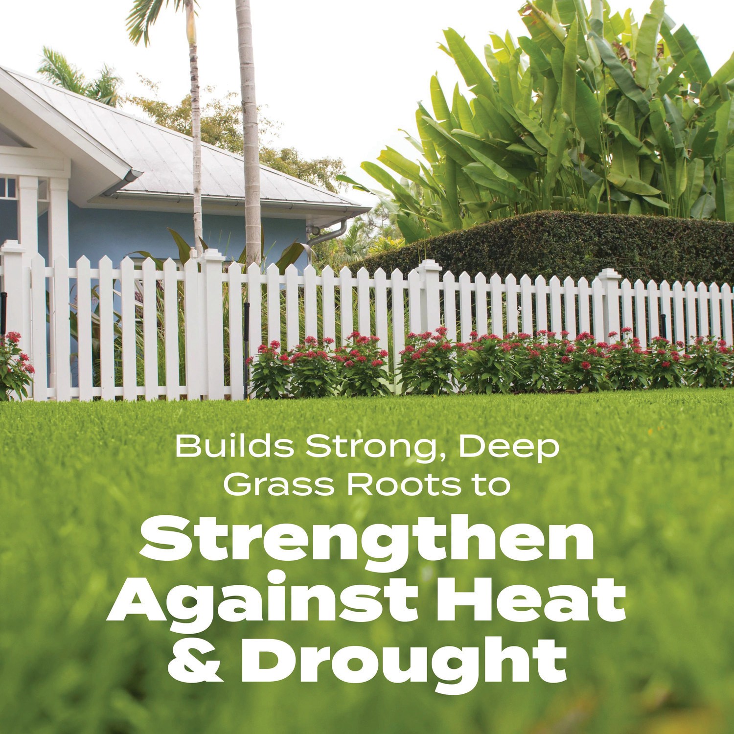 slide 6 of 6, Scotts Turf Builder Bonus S Southern 17.24-lb 5000-sq ft 29-0-10 All Purpose Weed Feed Fertilizer, 1 ct