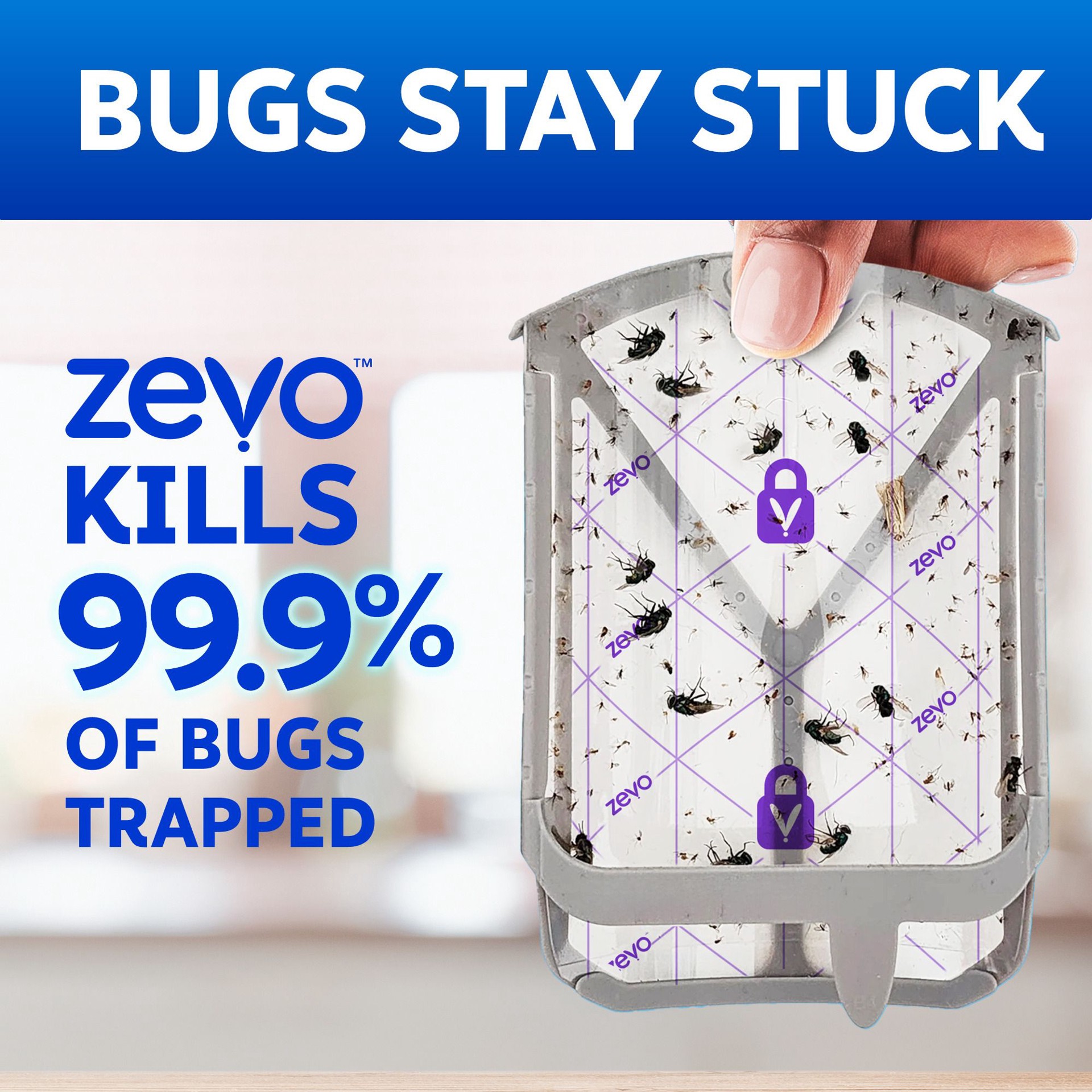 slide 6 of 6, Zevo Flying Insect Trap, Fly Trap Refill Cartridges (2 Cartridges) Indoor Glue Refill Insect Trap 2 -Pack, 1 ct