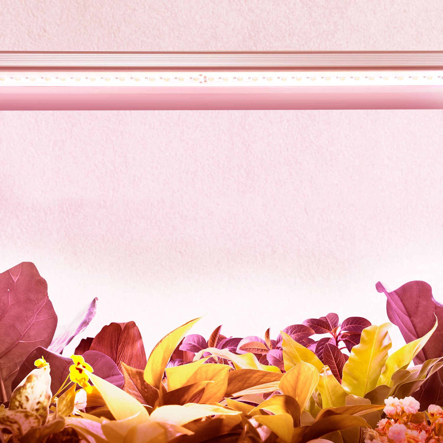 slide 6 of 6, Utilitech 23.23-in 1 -Light Silver 18 -Watt Full spectrum LED Strip grow light, 1 ct