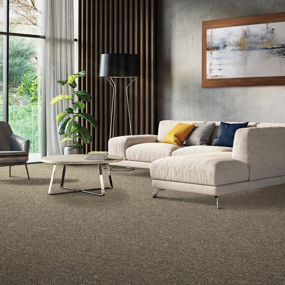 slide 2 of 6, Mohawk (Sample) 8-in x 8-in Docile Domain Slate Brown 16-oz sq yard Solution-dyed polyester Pattern Indoor Carpet, 1 ct