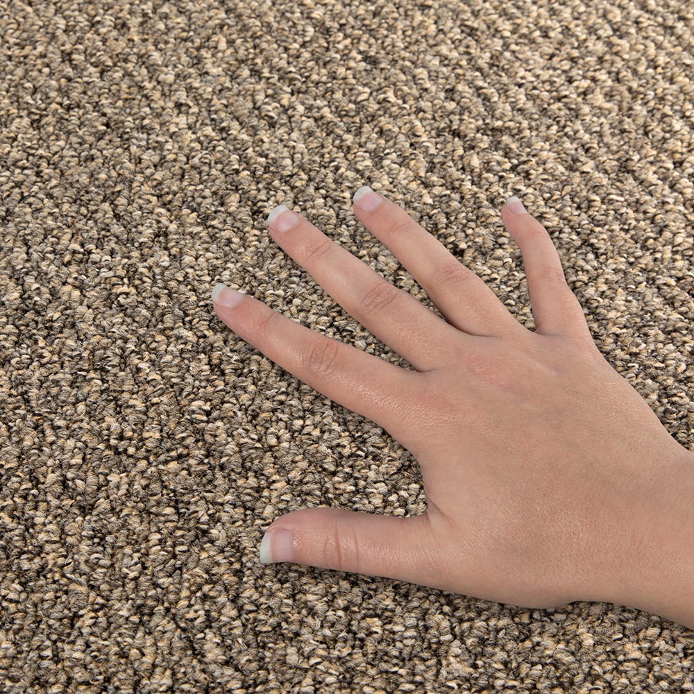 slide 5 of 6, Mohawk (Sample) 8-in x 8-in Docile Domain Slate Brown 16-oz sq yard Solution-dyed polyester Pattern Indoor Carpet, 1 ct