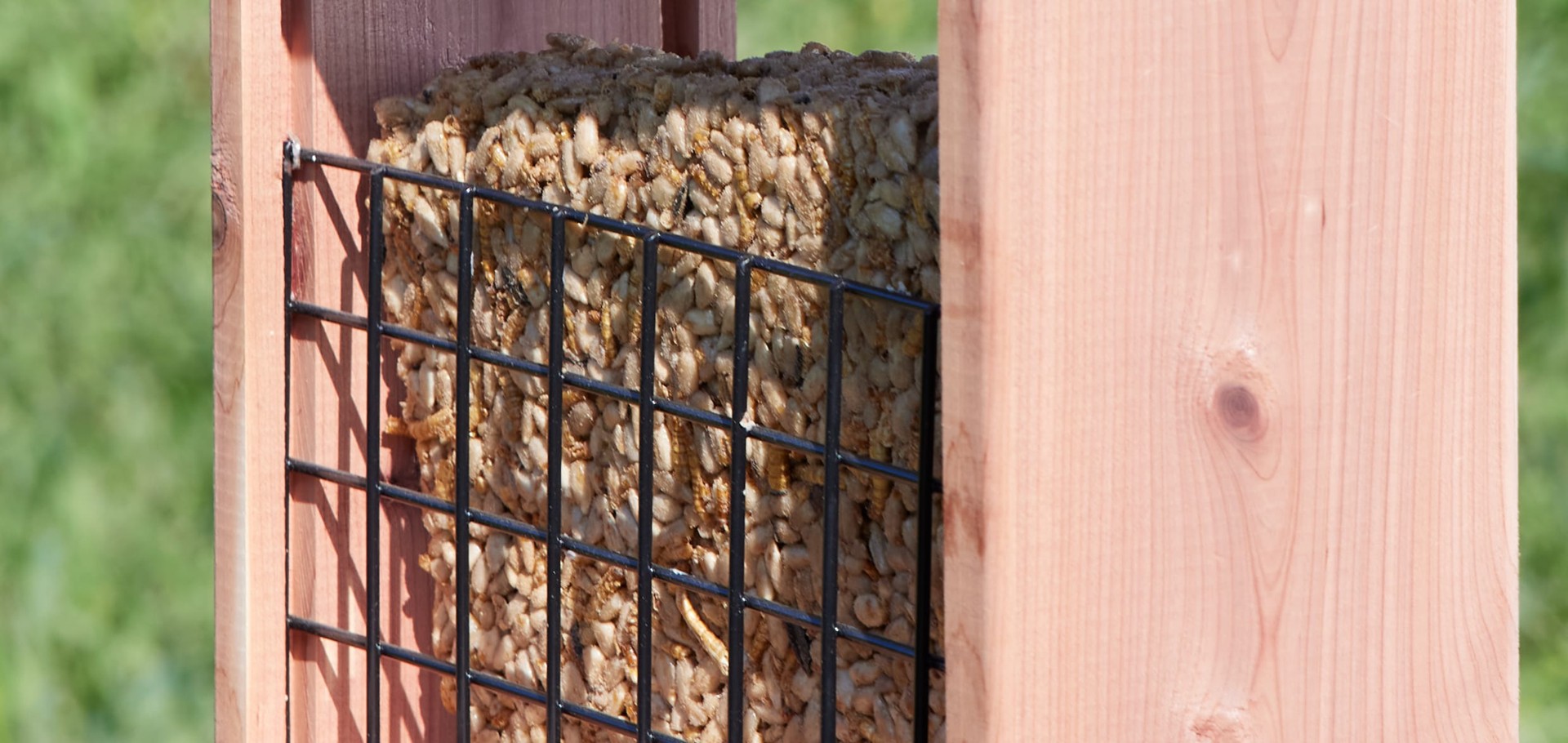slide 6 of 6, National Audubon Society Meal Worm Cake (blend) Bird food 1.25 Pound(s), 1 ct