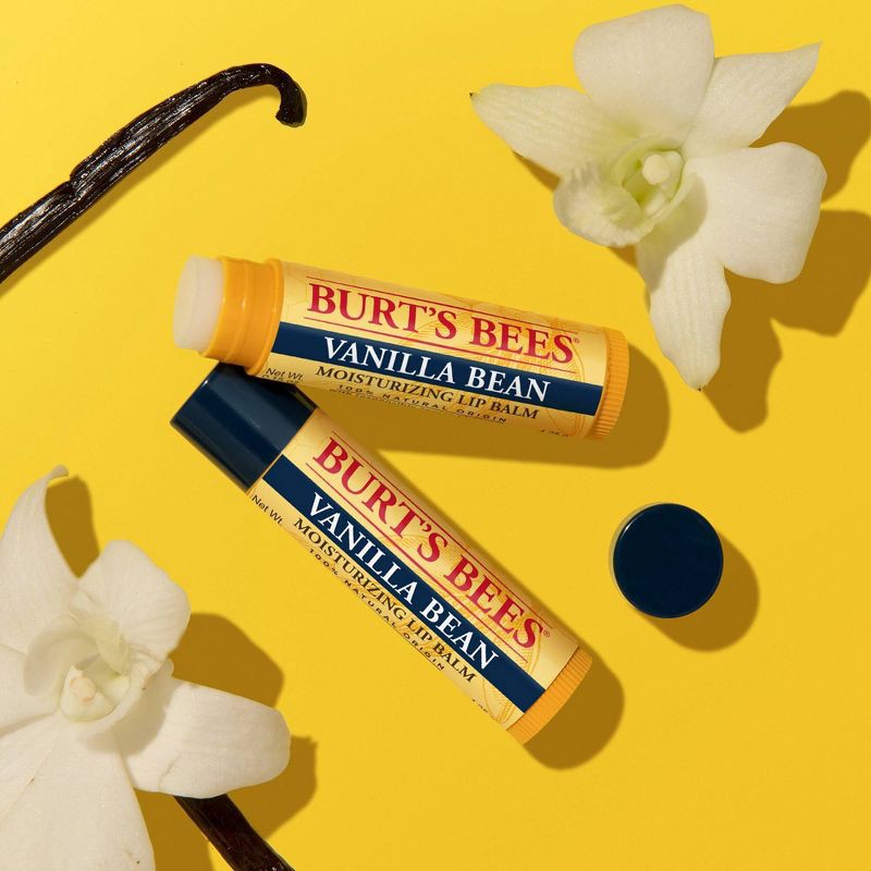 slide 6 of 20, Burt's Bees Lip Balm - Vanilla Bean - 2pk/0.30oz, 2 ct, 0.30 oz