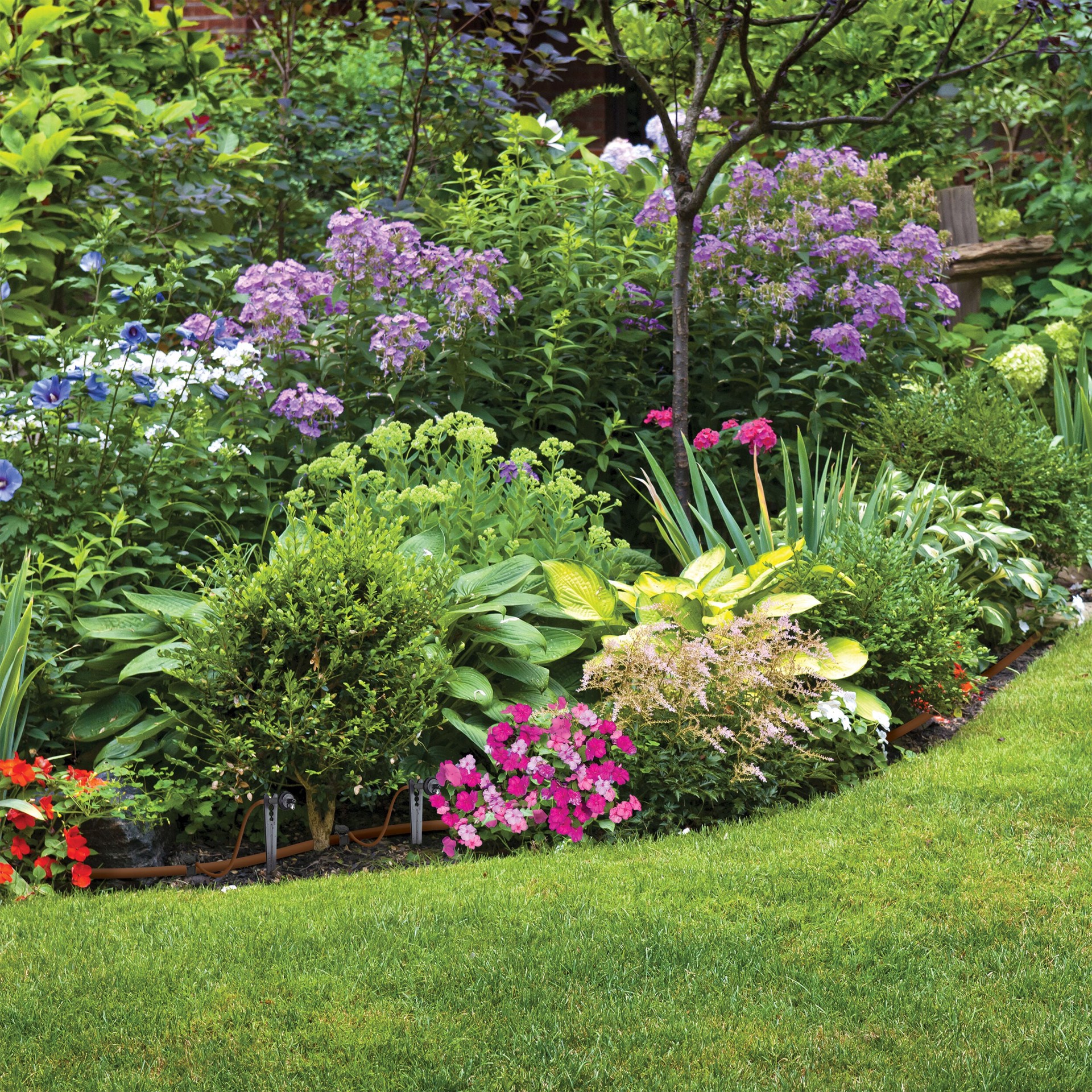 slide 4 of 6, Raindrip Drip Irrigation Tree and Shrub Kit, 1 ct