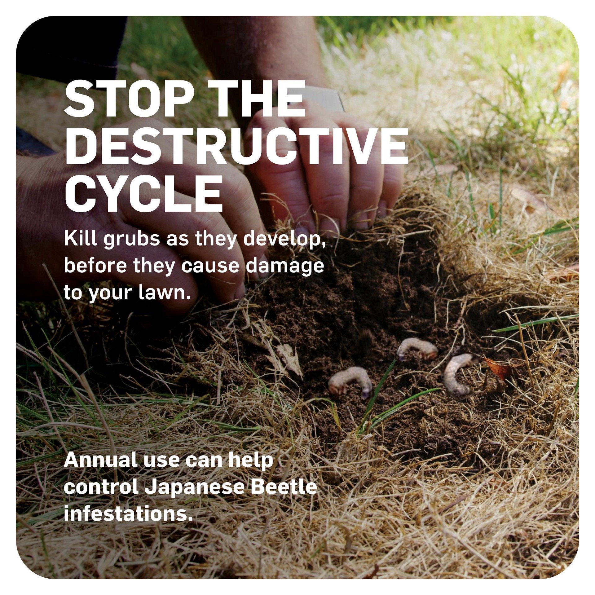 slide 3 of 6, Scotts GrubEx1 Season Long 14.35 -lb Grub killer, 1 ct