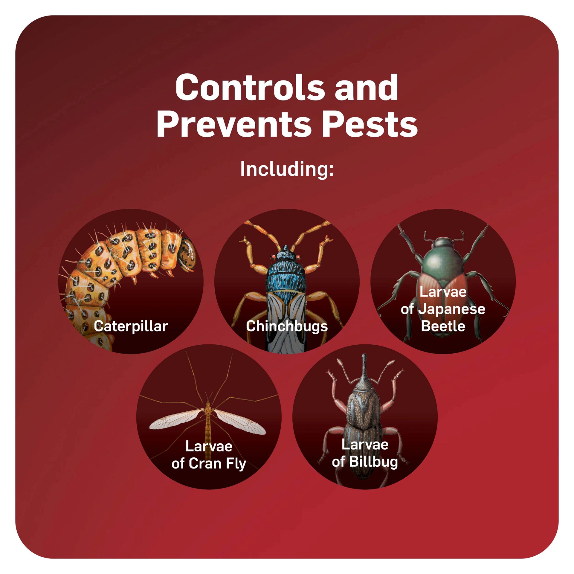 slide 4 of 6, Scotts GrubEx1 Season Long 14.35 -lb Grub killer, 1 ct