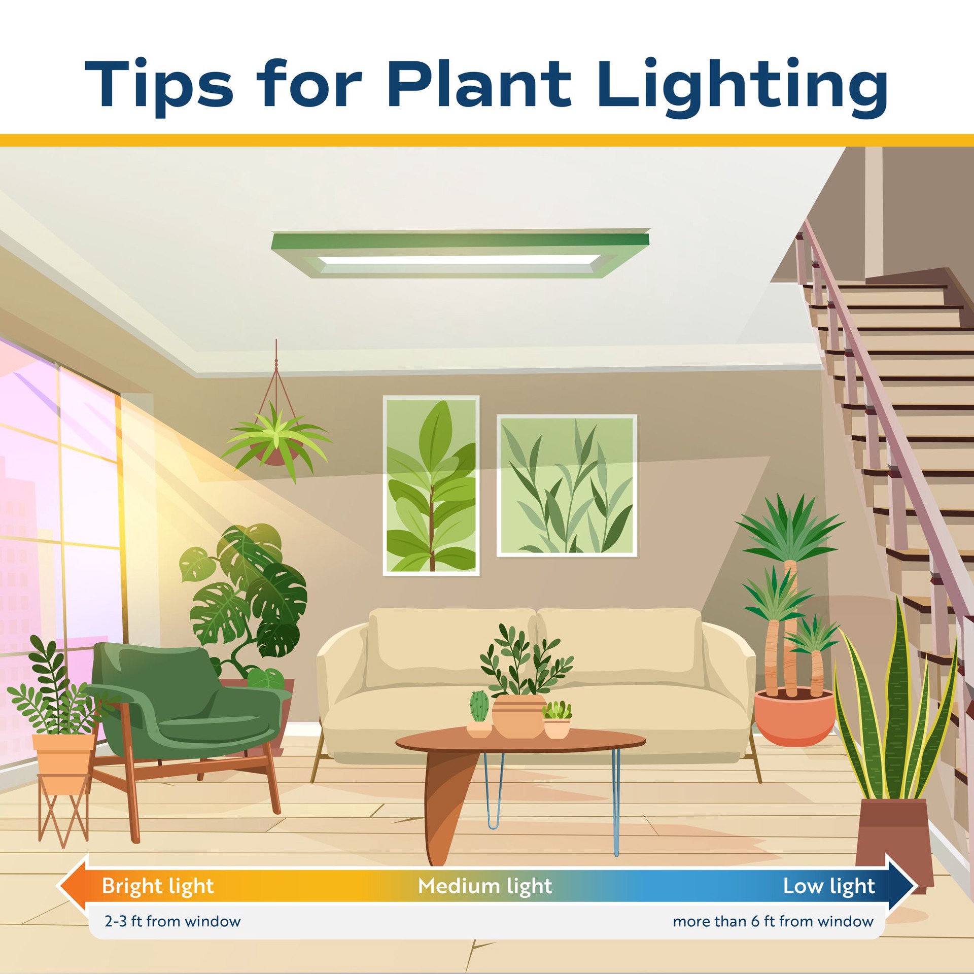 slide 6 of 6, Lowe's Fiddleleaf Fig House plant in 1.4 Quart(s) Planter 1 -Pack, 1 ct